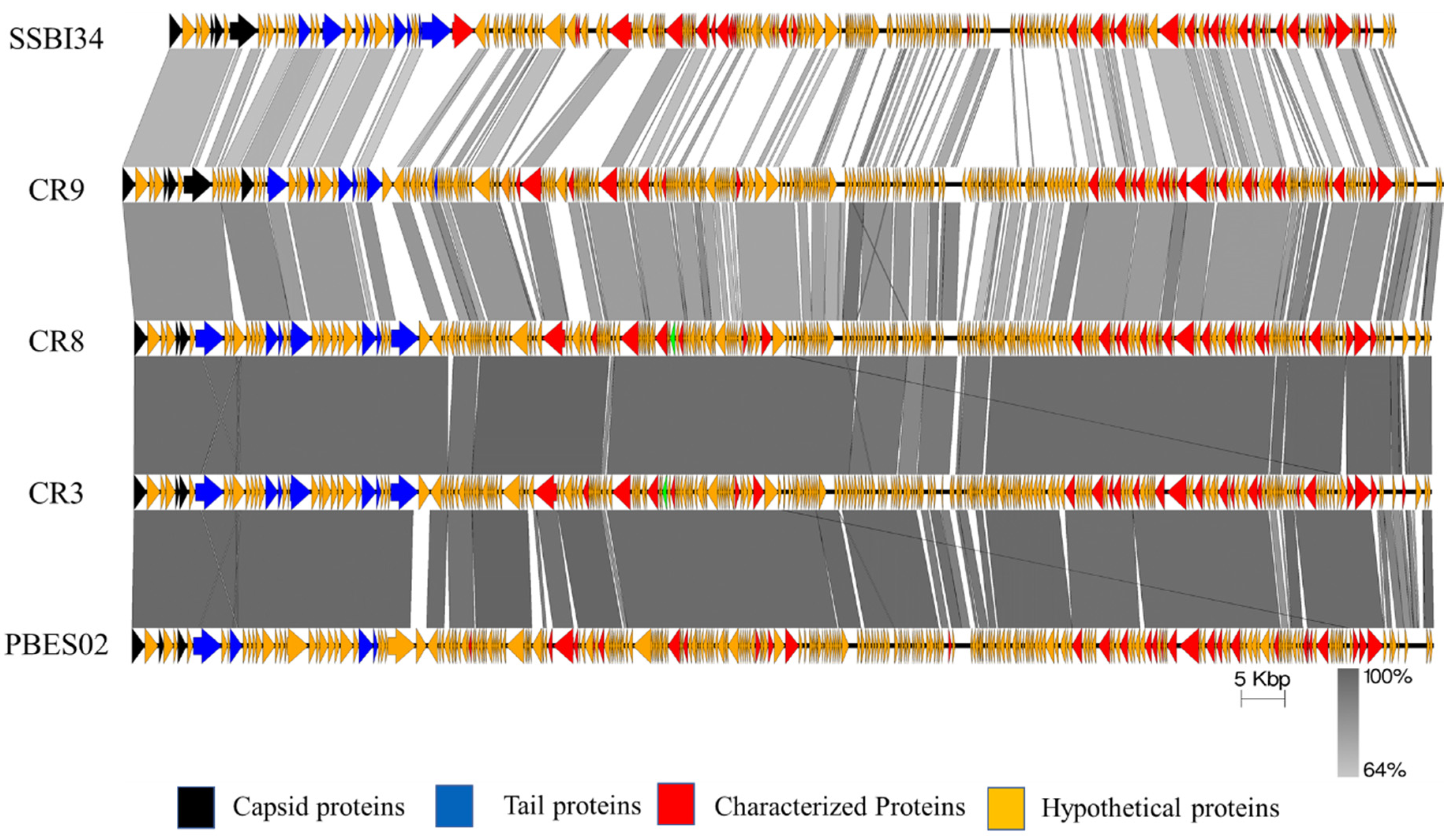 Viruses 14 00241 g004