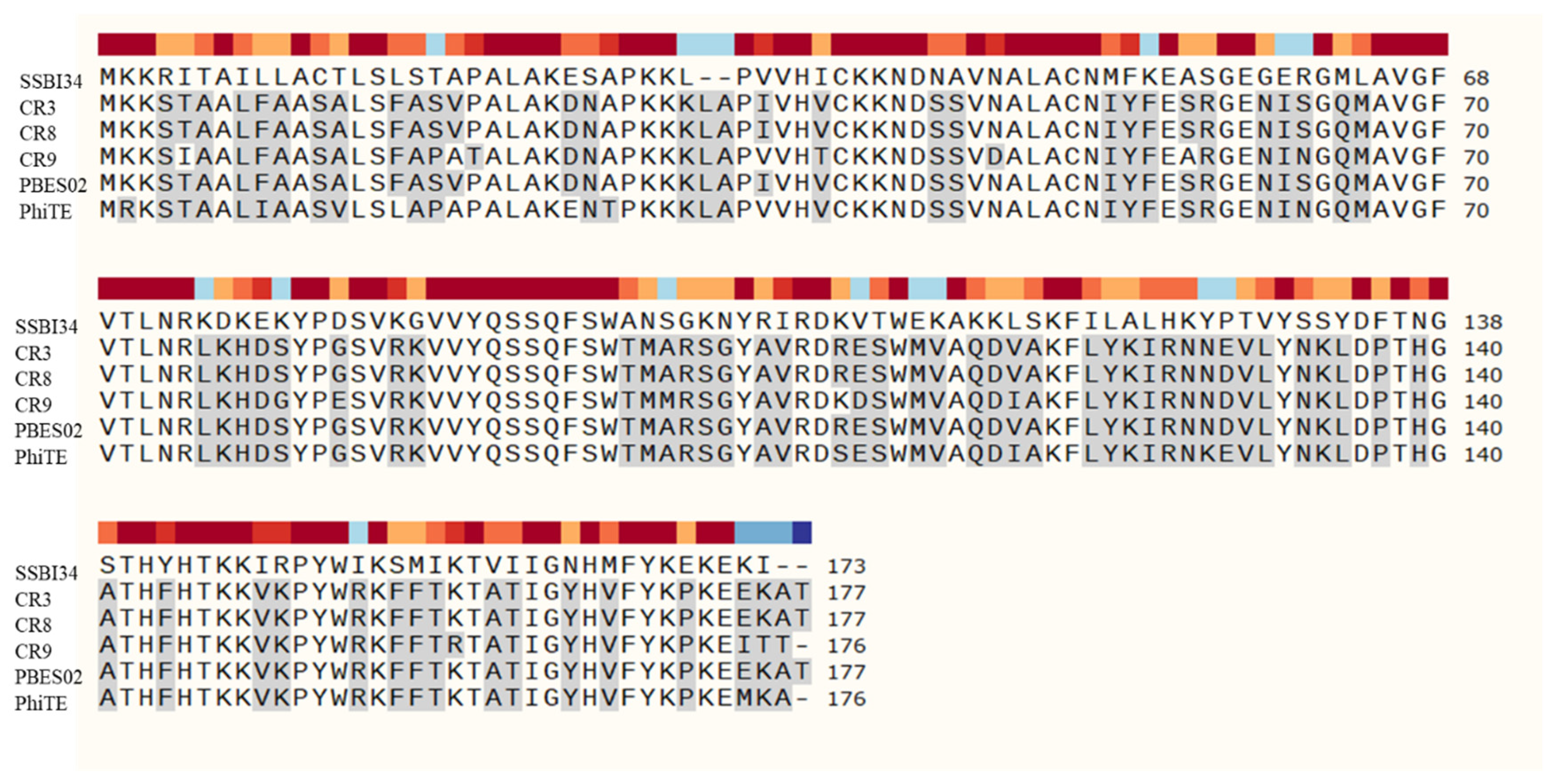 Viruses 14 00241 g005