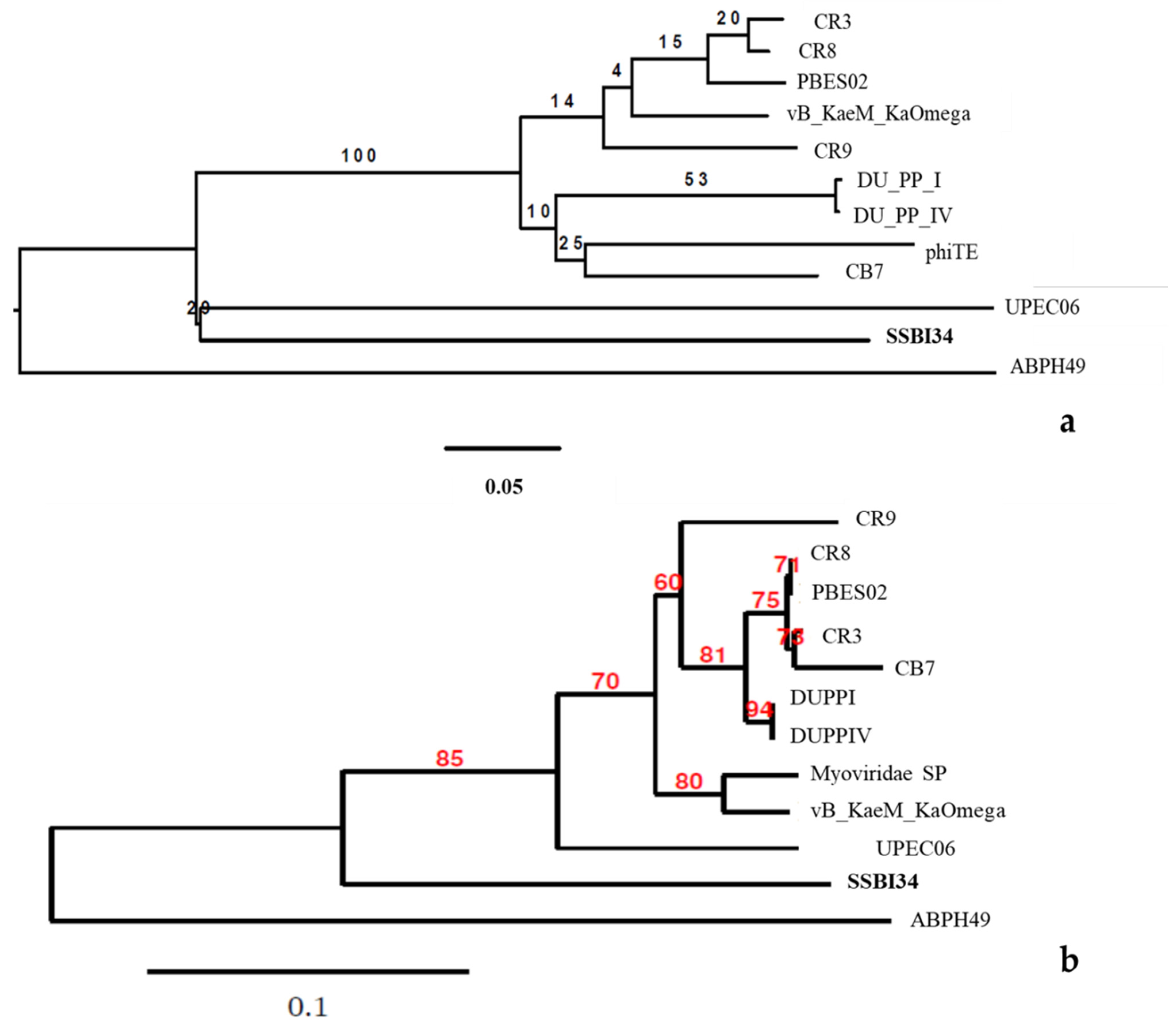 Viruses 14 00241 g006