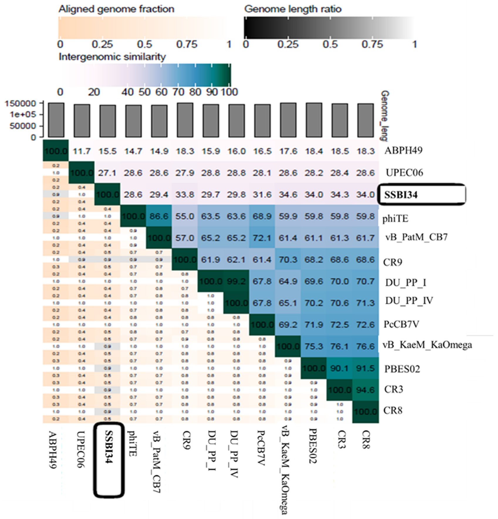 Viruses 14 00241 g007