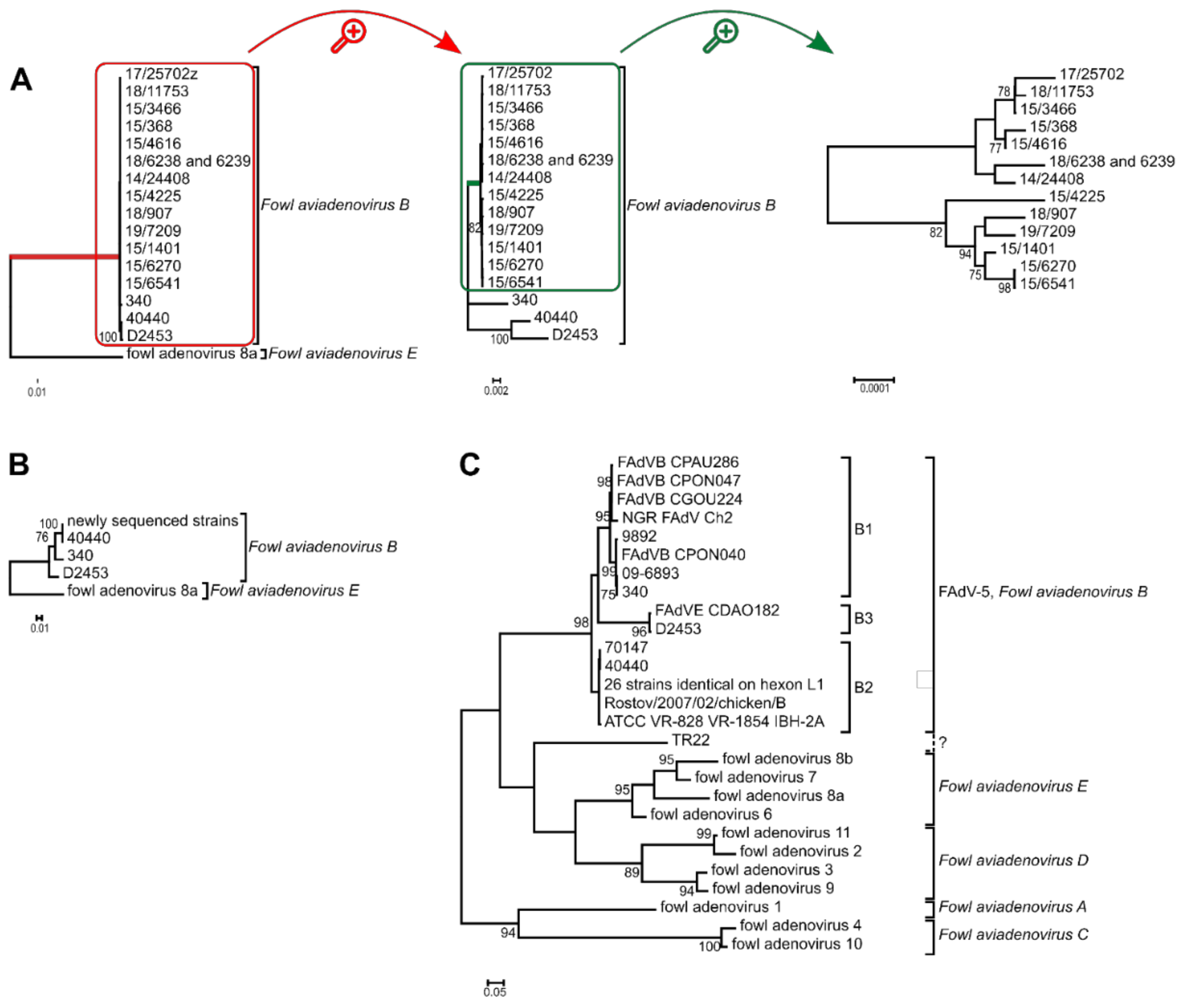 Viruses 14 00248 g002