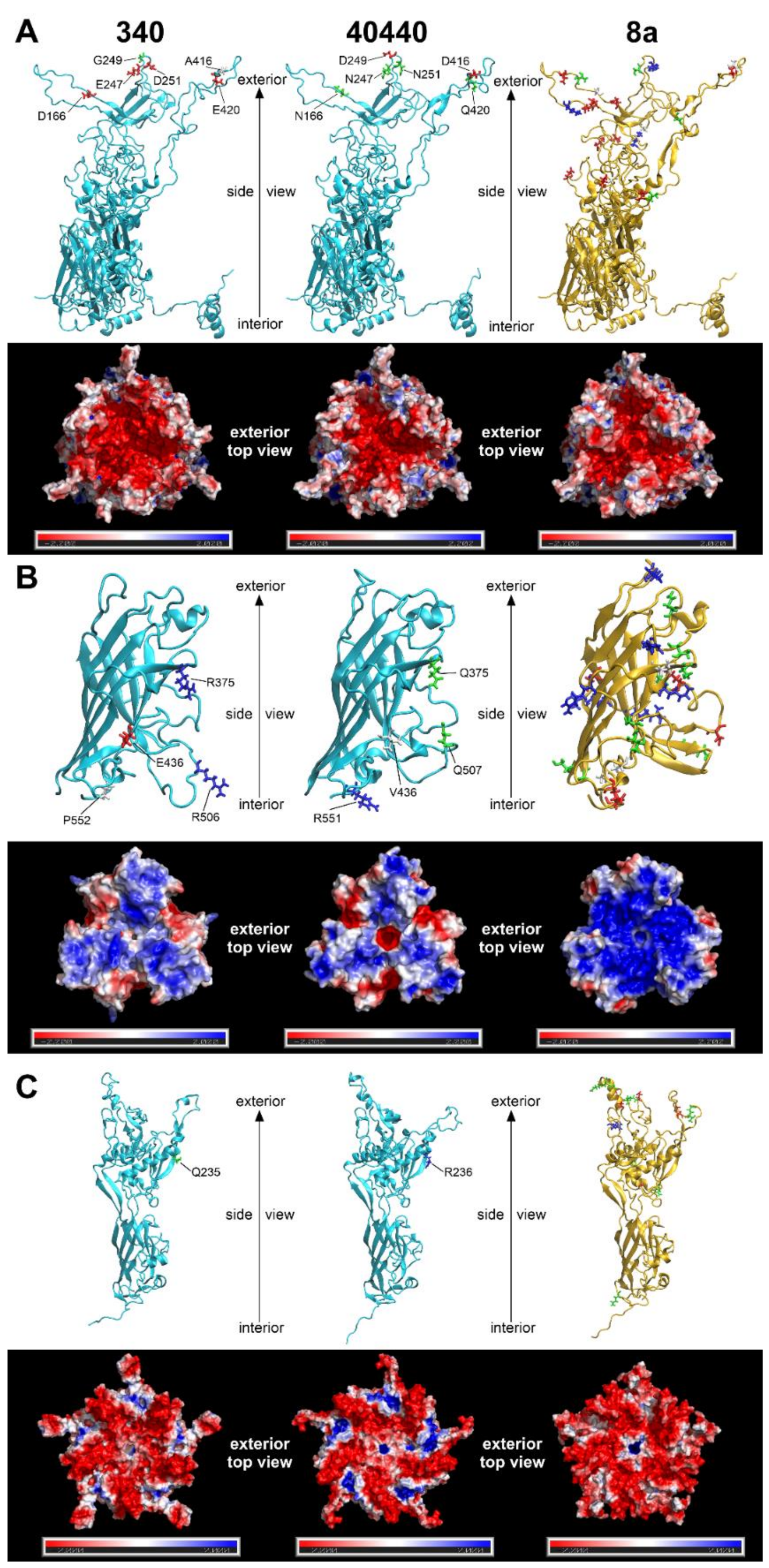 Viruses 14 00248 g003