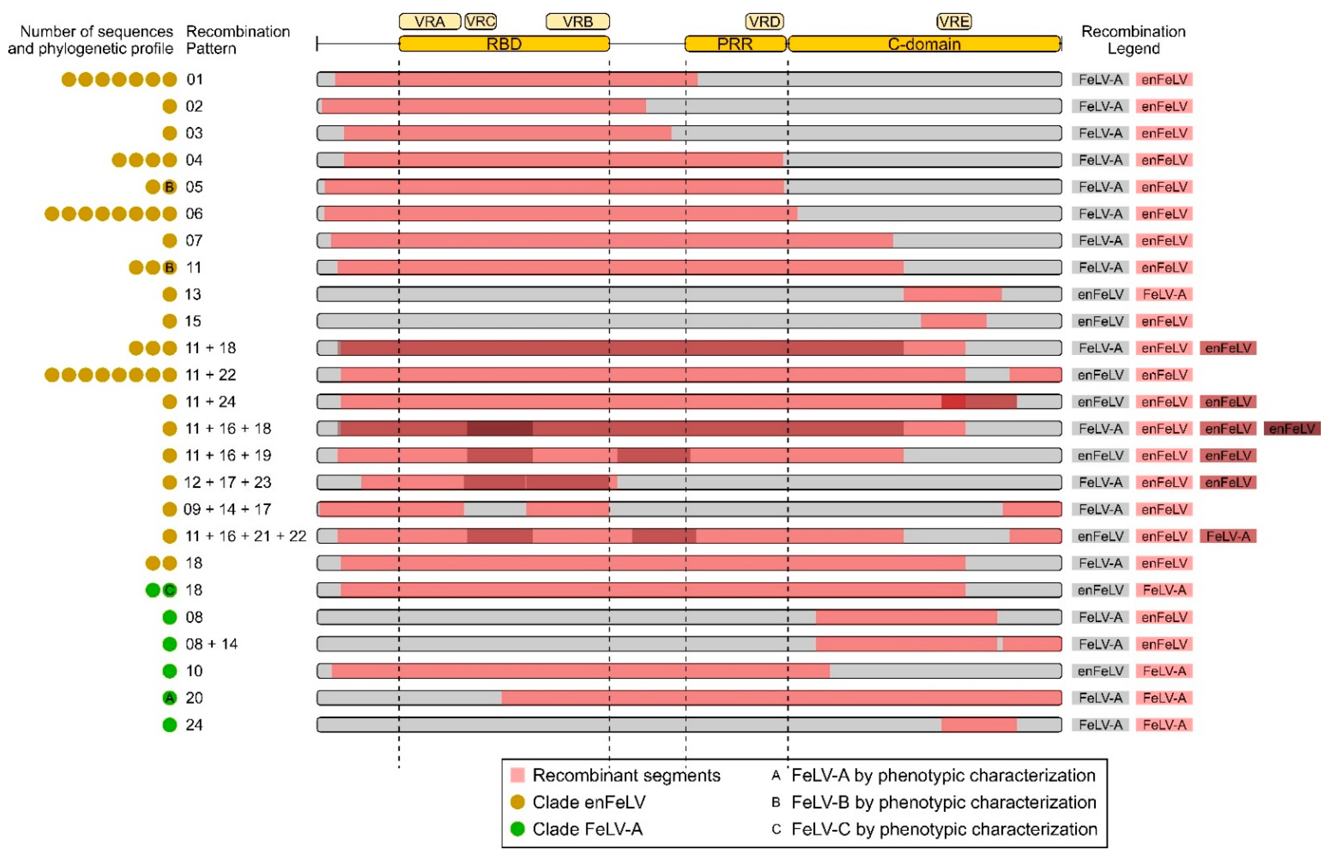 Viruses 14 00249 g001