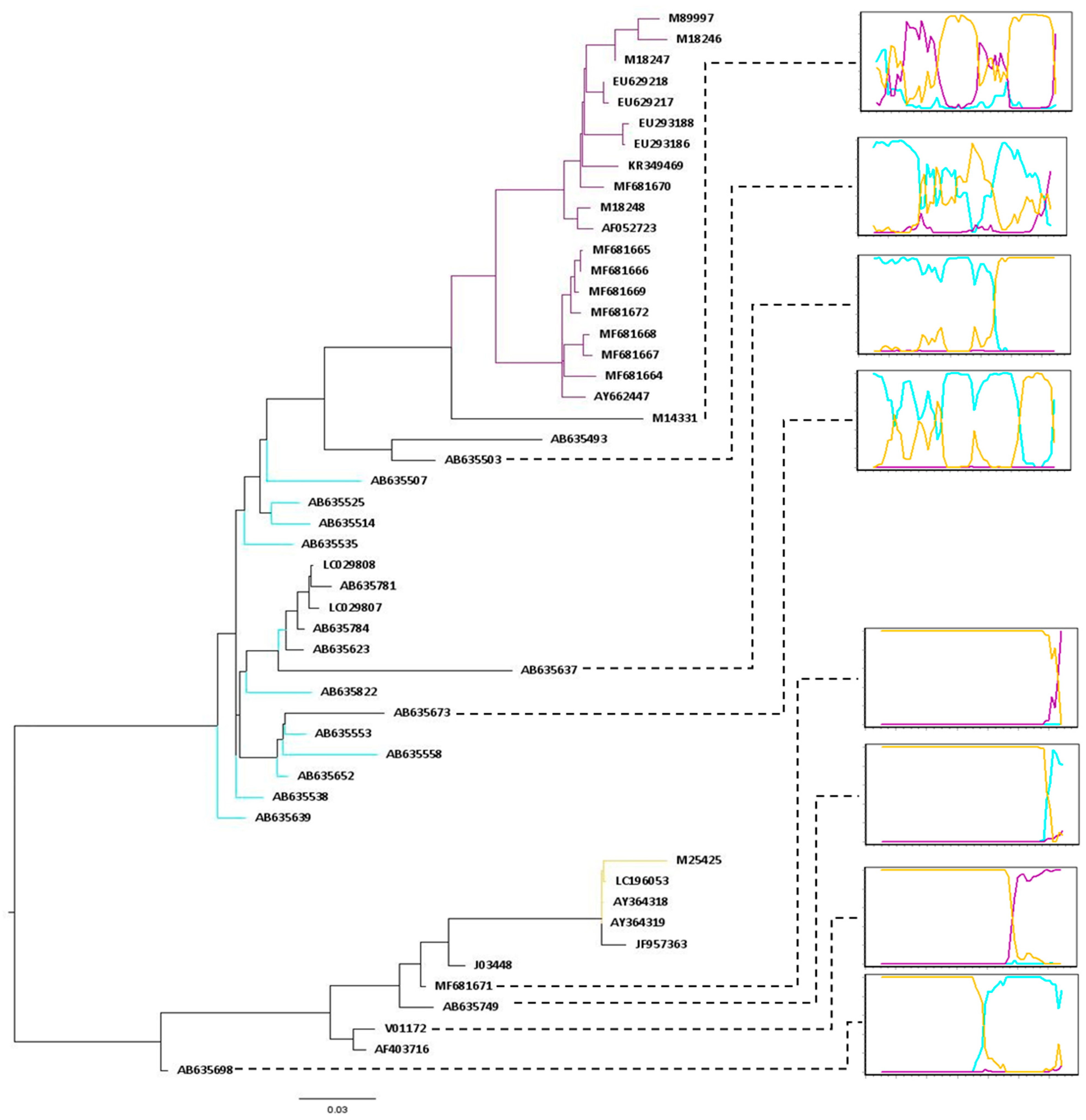 Viruses 14 00249 g002