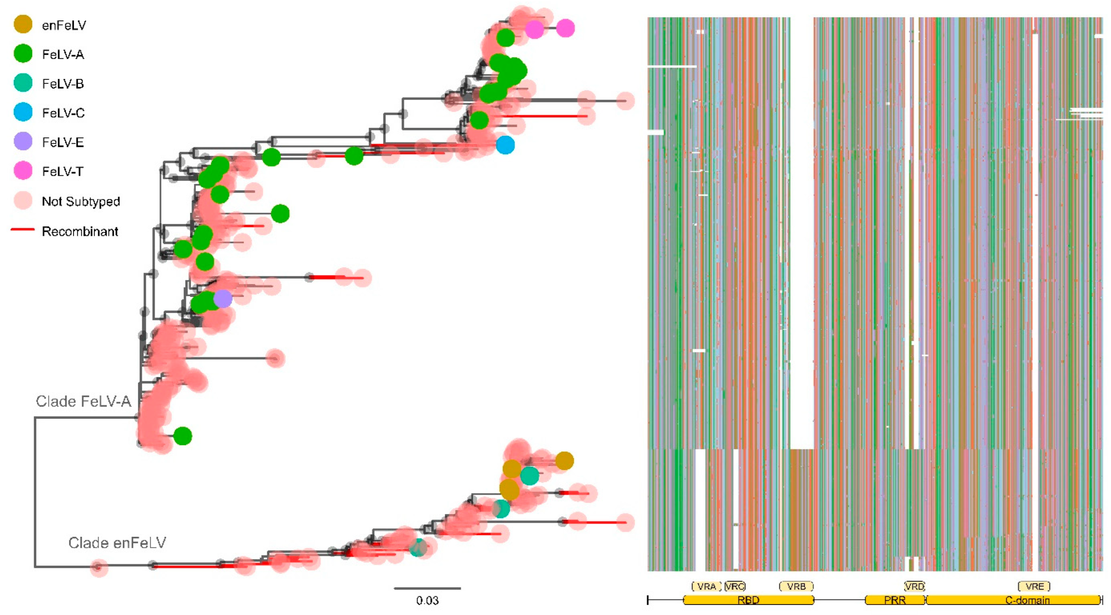 Viruses 14 00249 g003