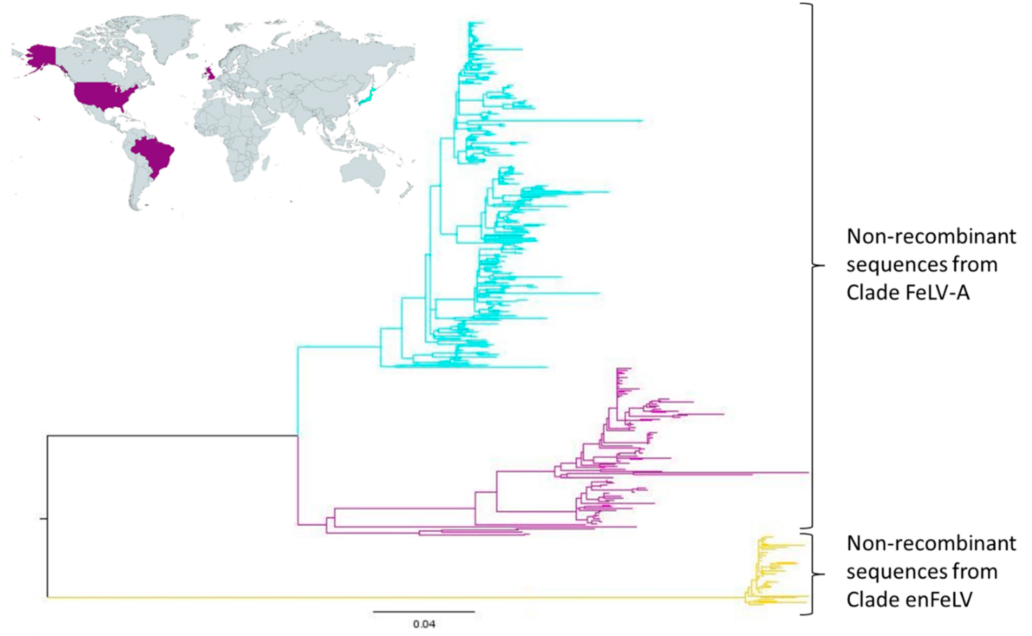 Viruses 14 00249 g004