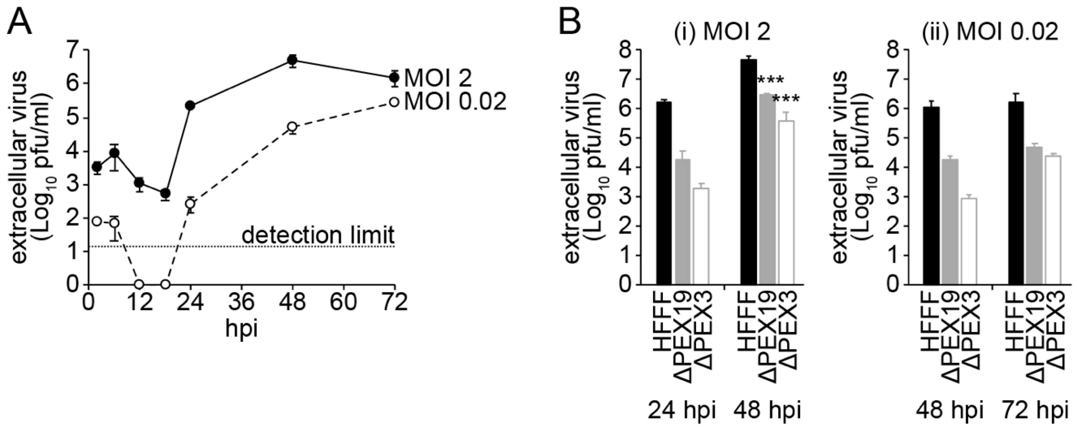 Viruses 14 00253 g001