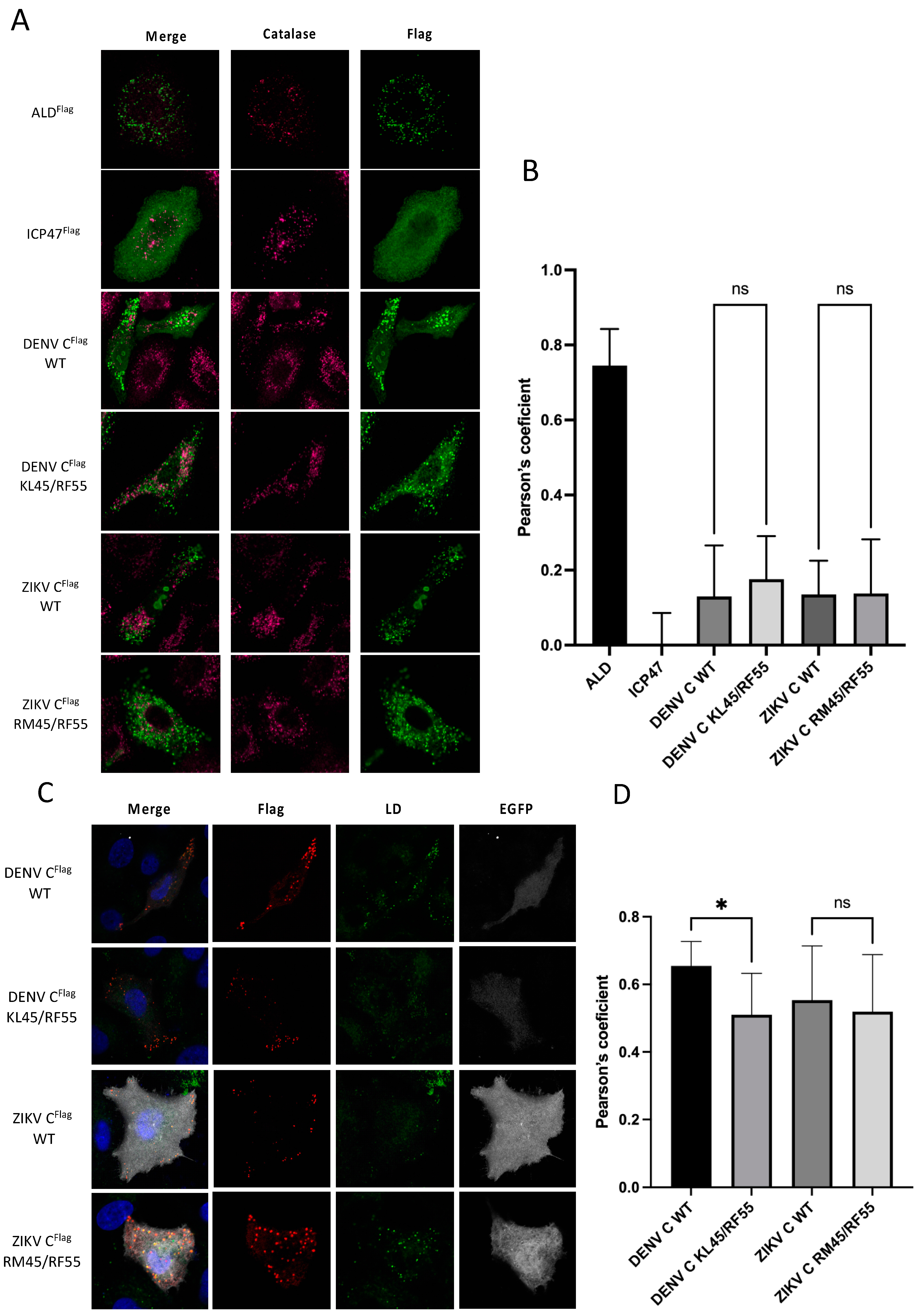 Viruses 14 00253 g004
