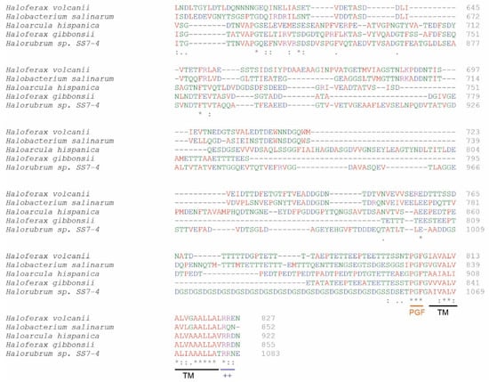 Viruses 14 00254 g0a2c 550