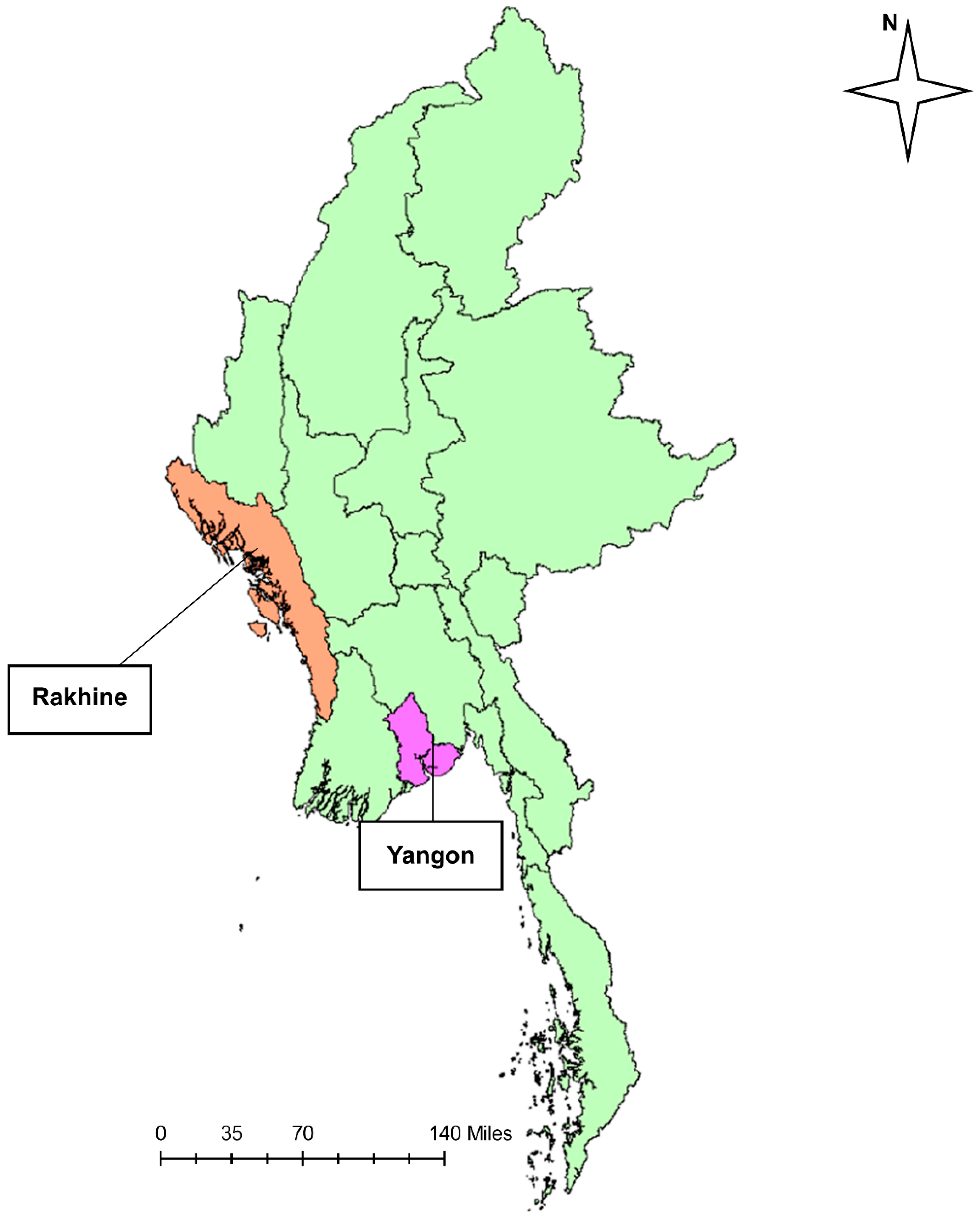 Viruses 14 00259 g001