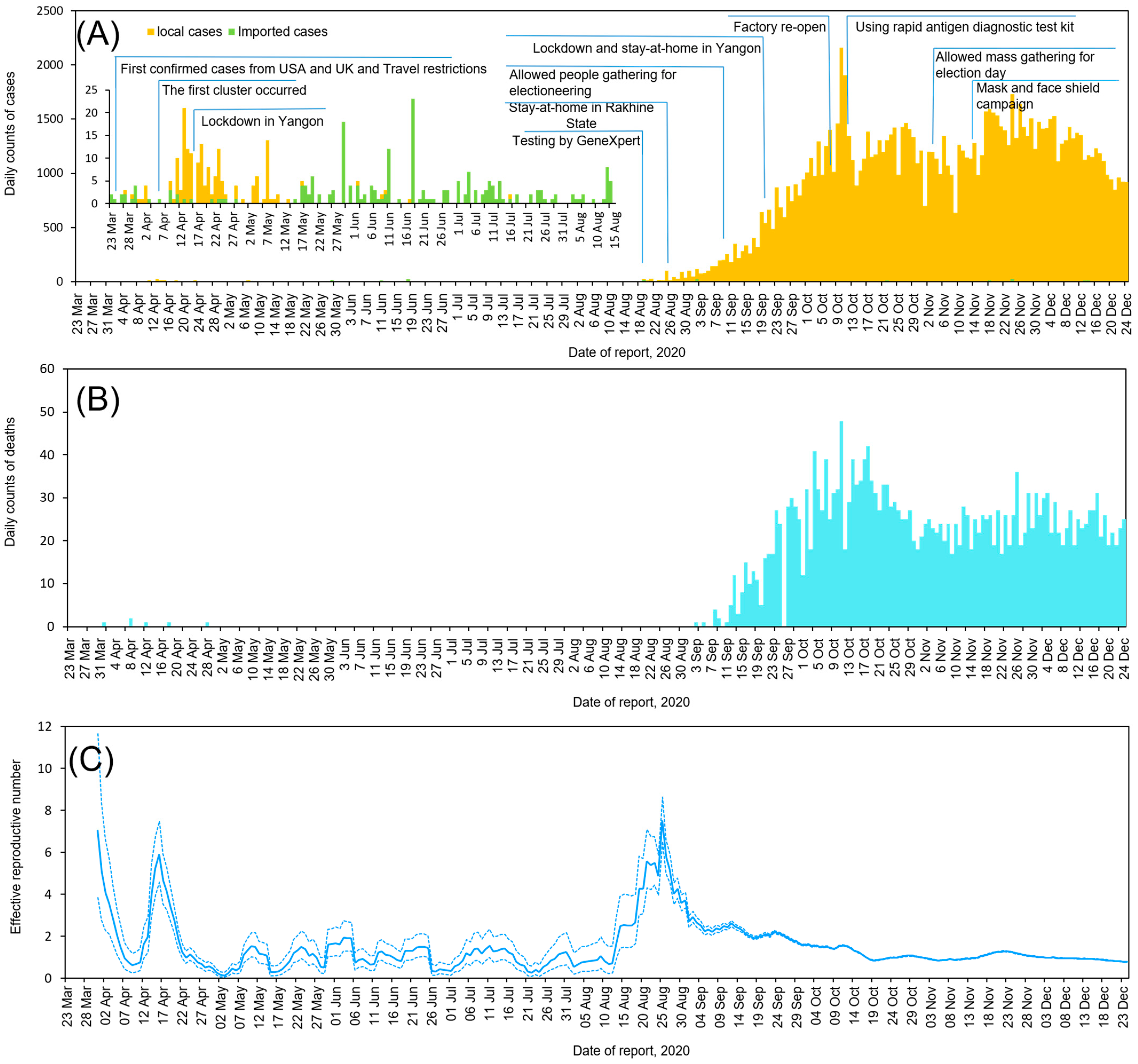 Viruses 14 00259 g002