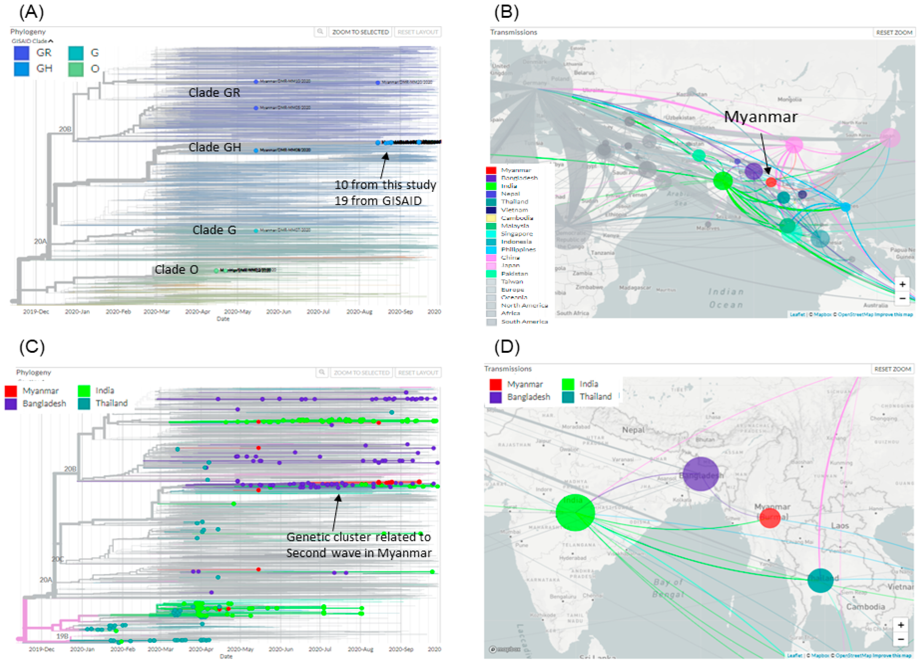 Viruses 14 00259 g003