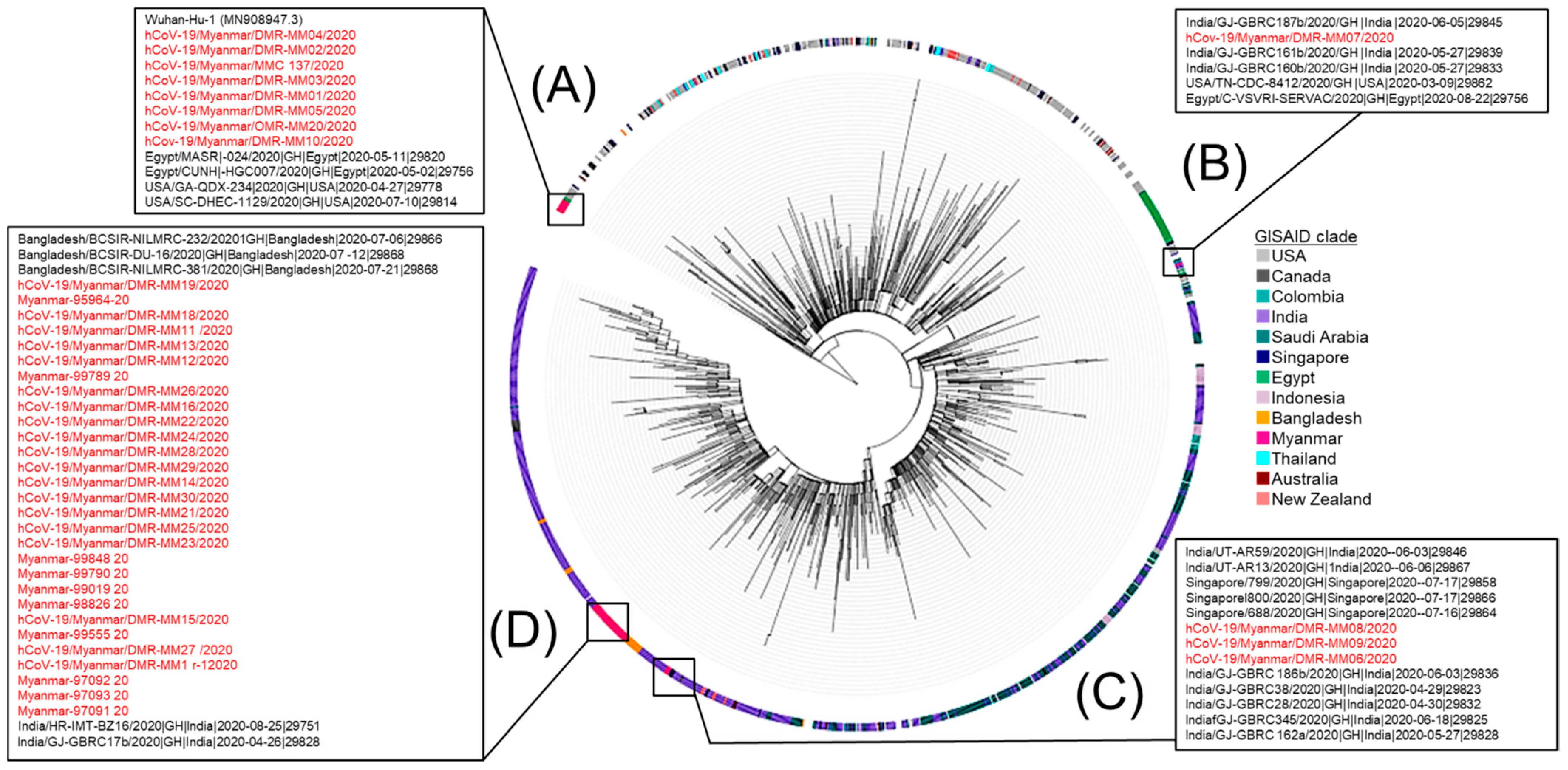 Viruses 14 00259 g004