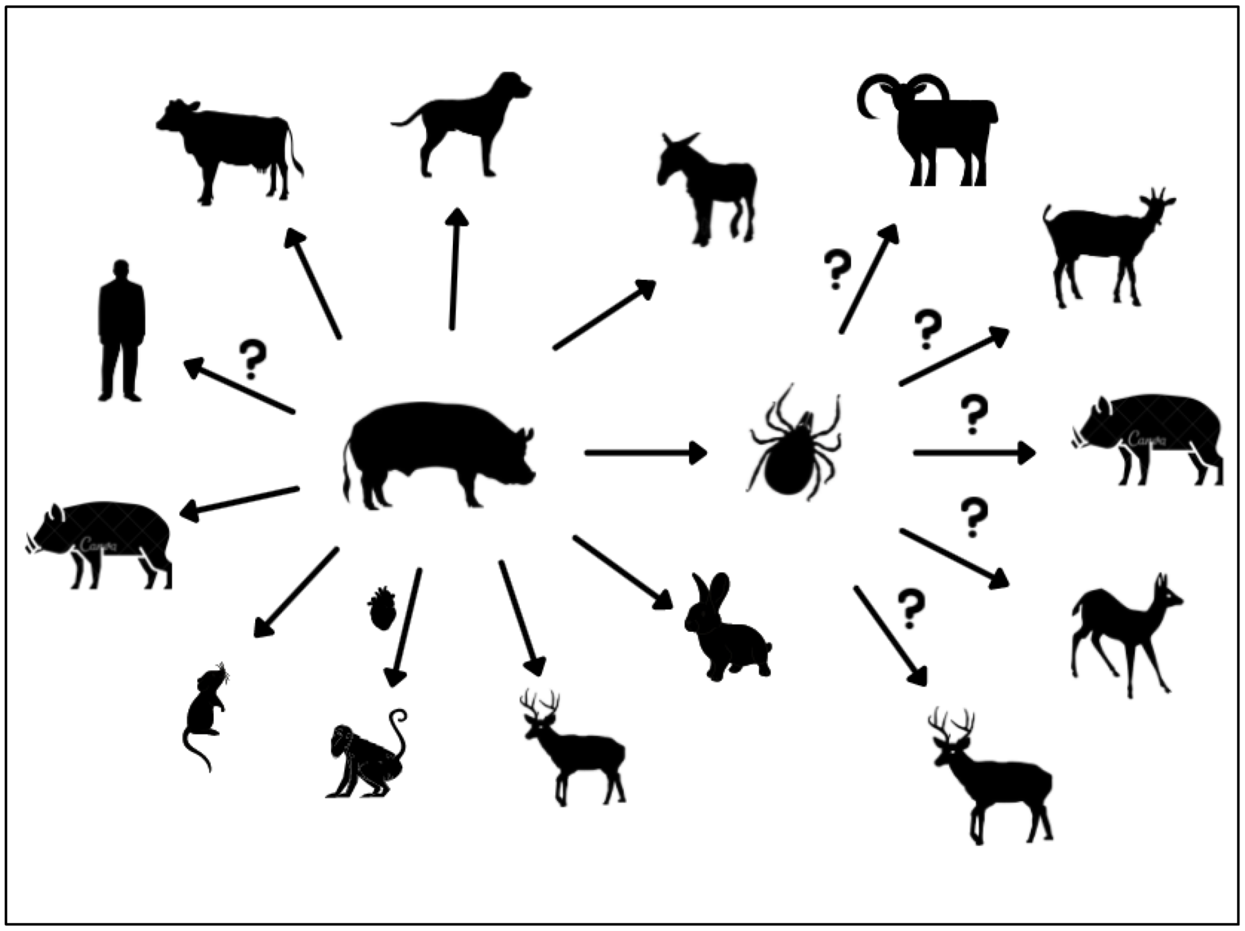 Viruses 14 00261 g003