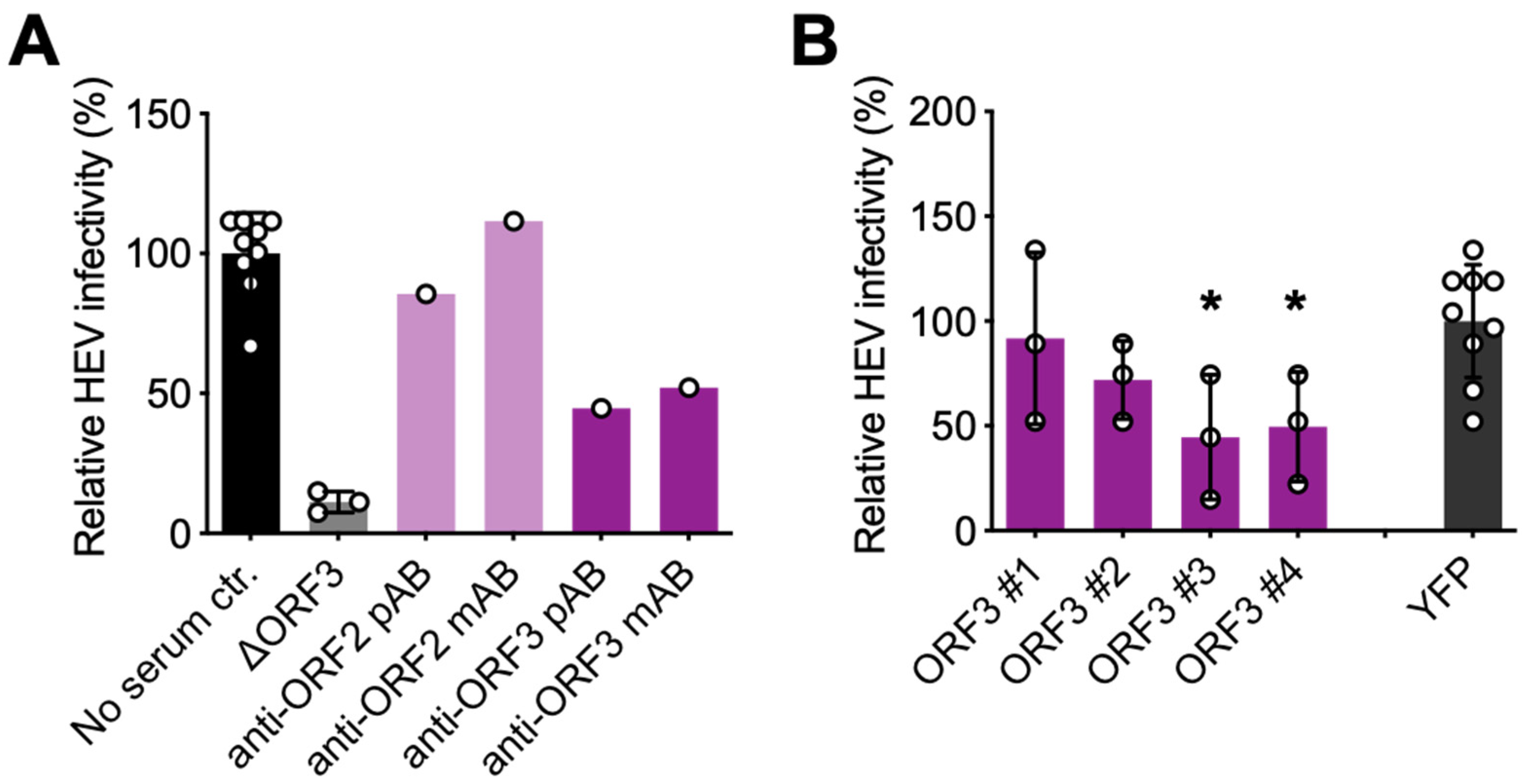 Viruses 14 00266 g004