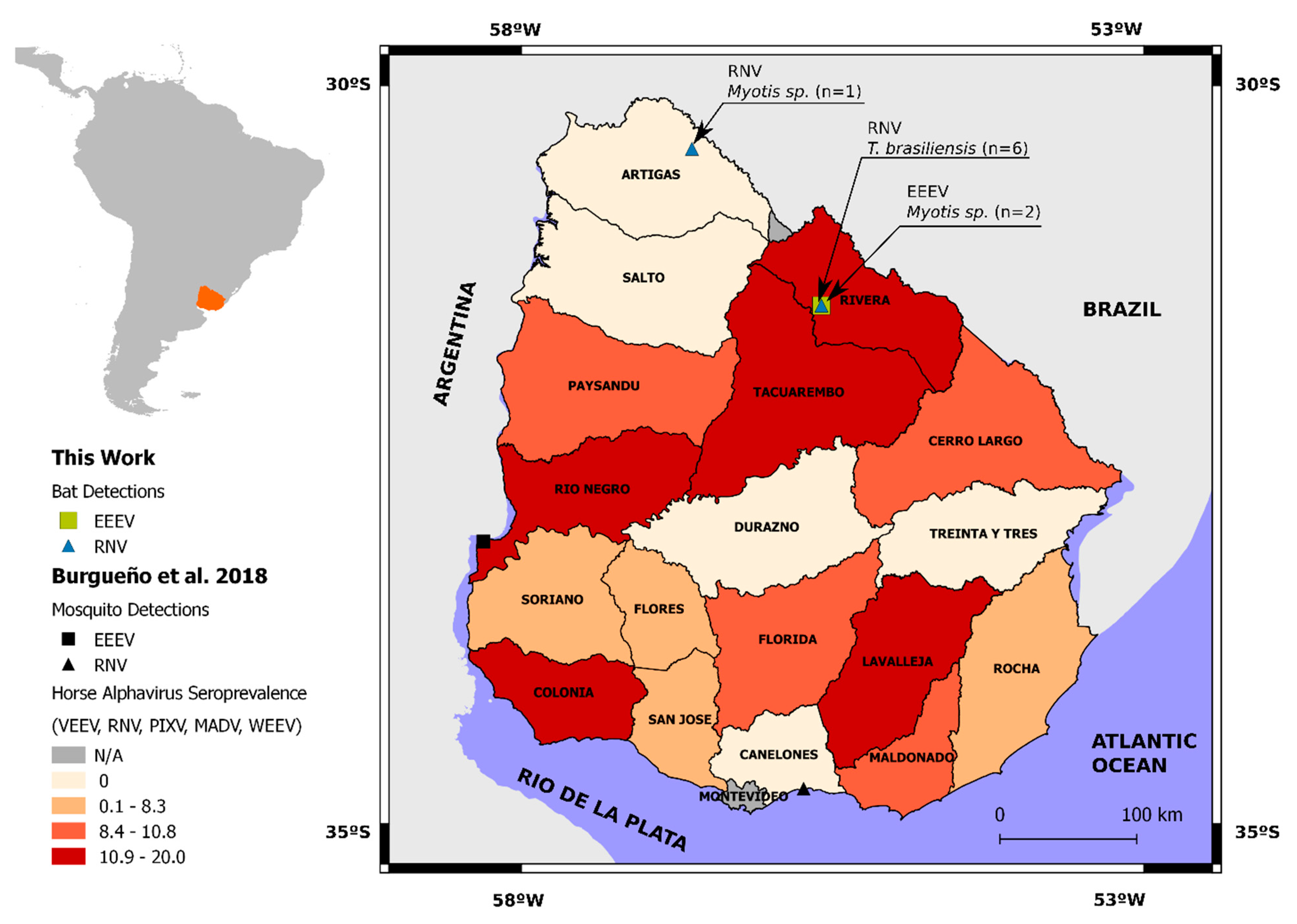 Viruses 14 00269 g001
