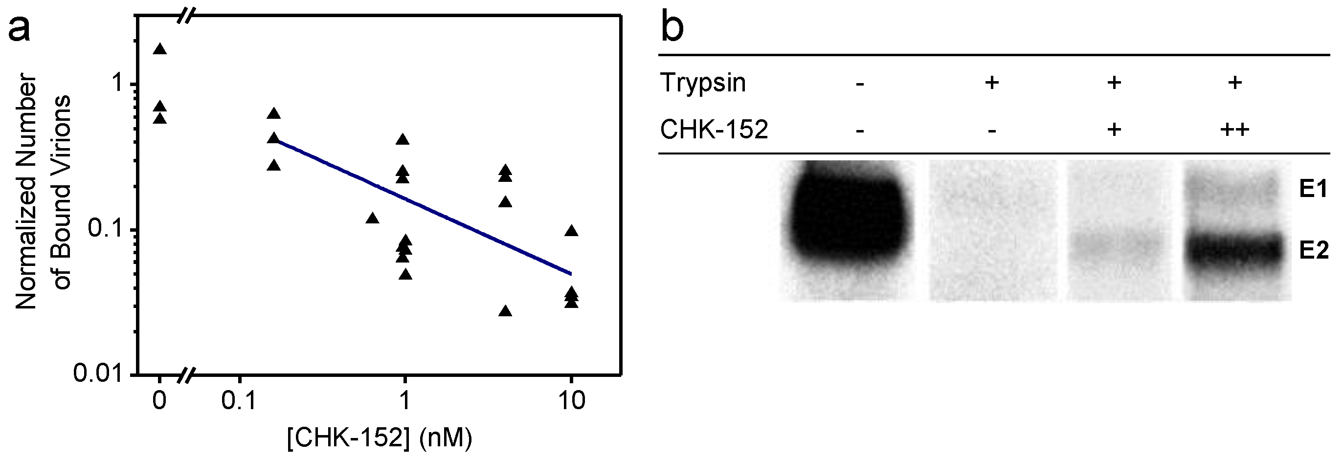 Viruses 14 00270 g001