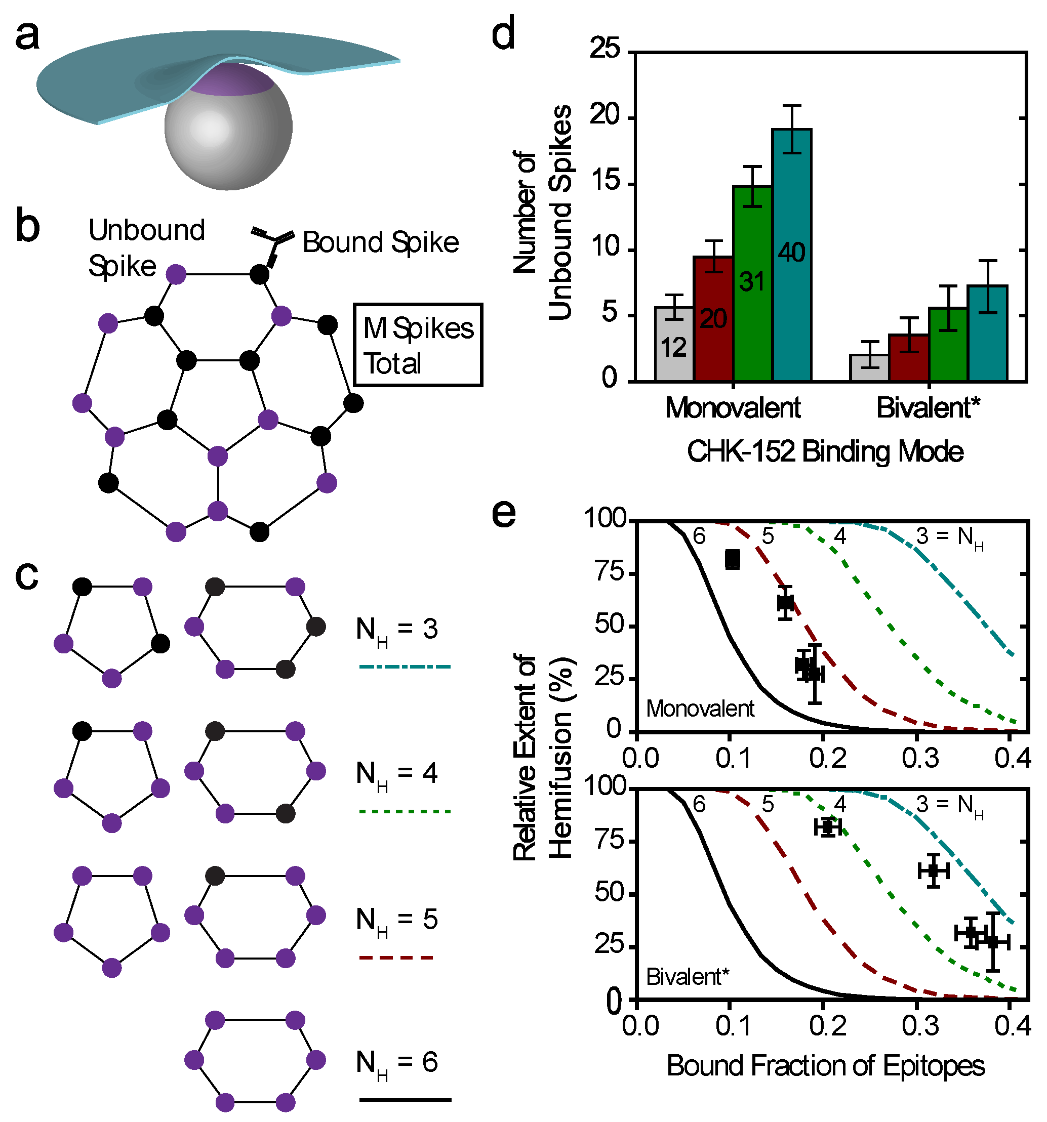 Viruses 14 00270 g006