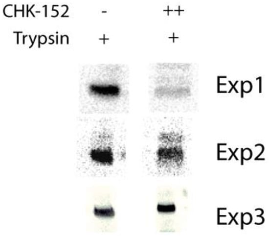 Viruses 14 00270 g0a14