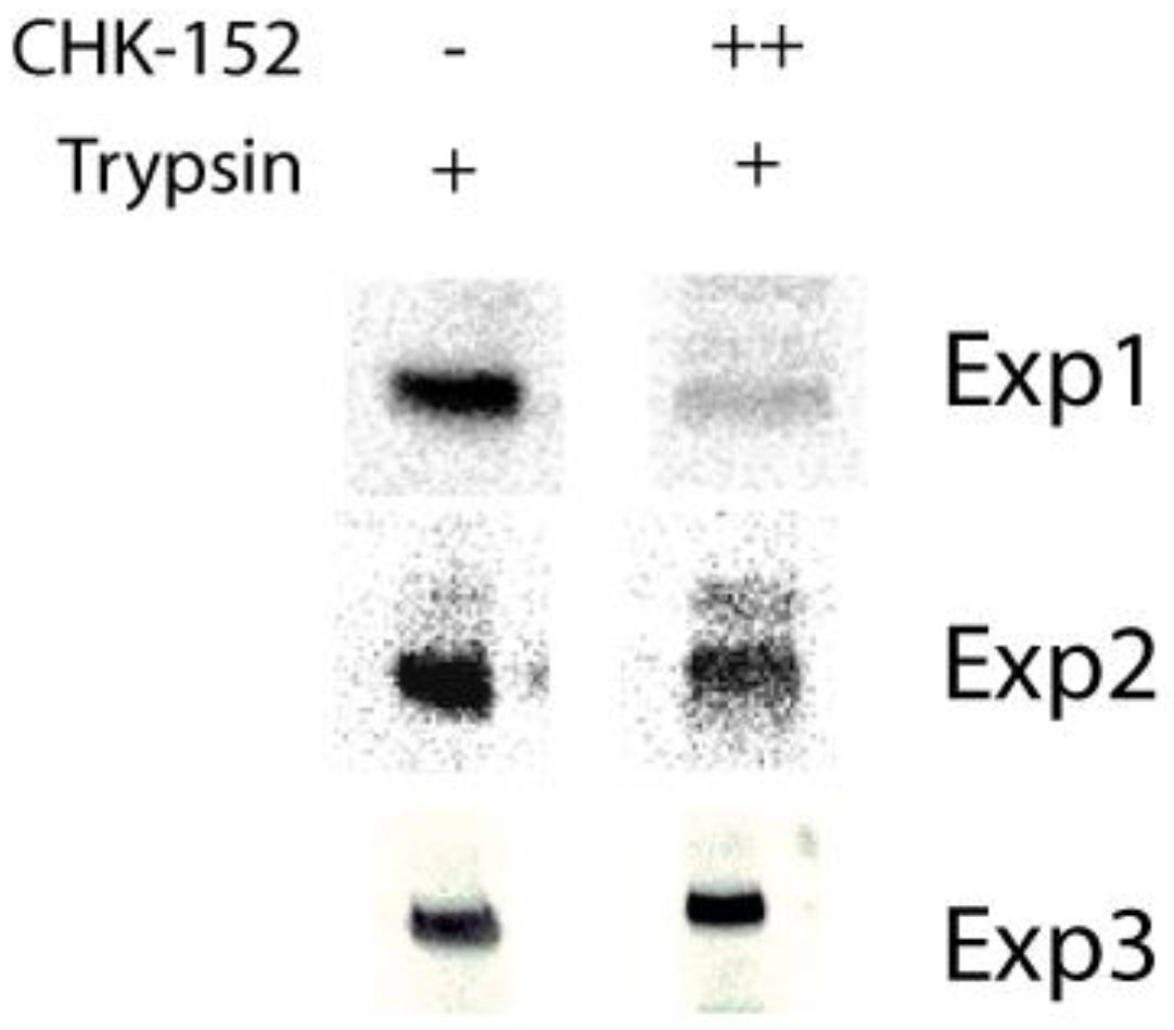 Viruses 14 00270 g0a14