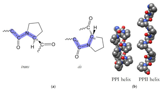 Viruses 14 00281 g001