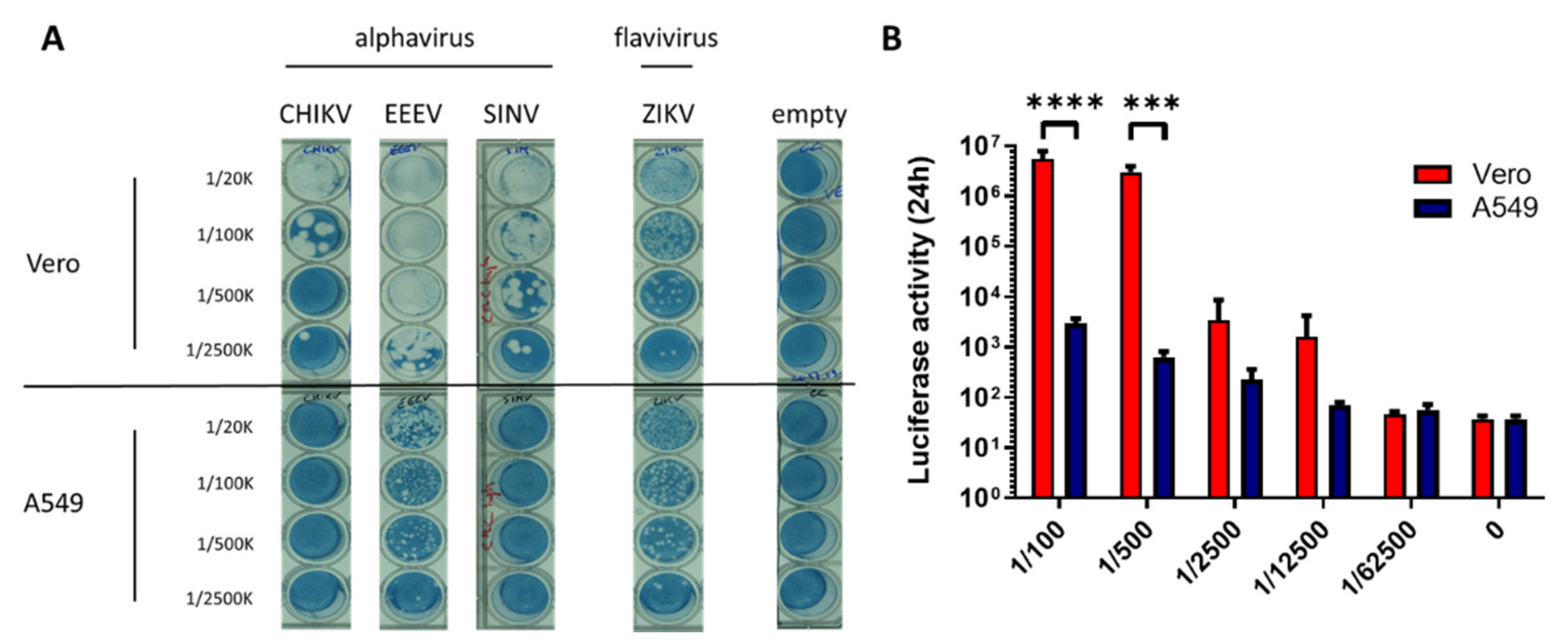 Viruses 14 00282 g001