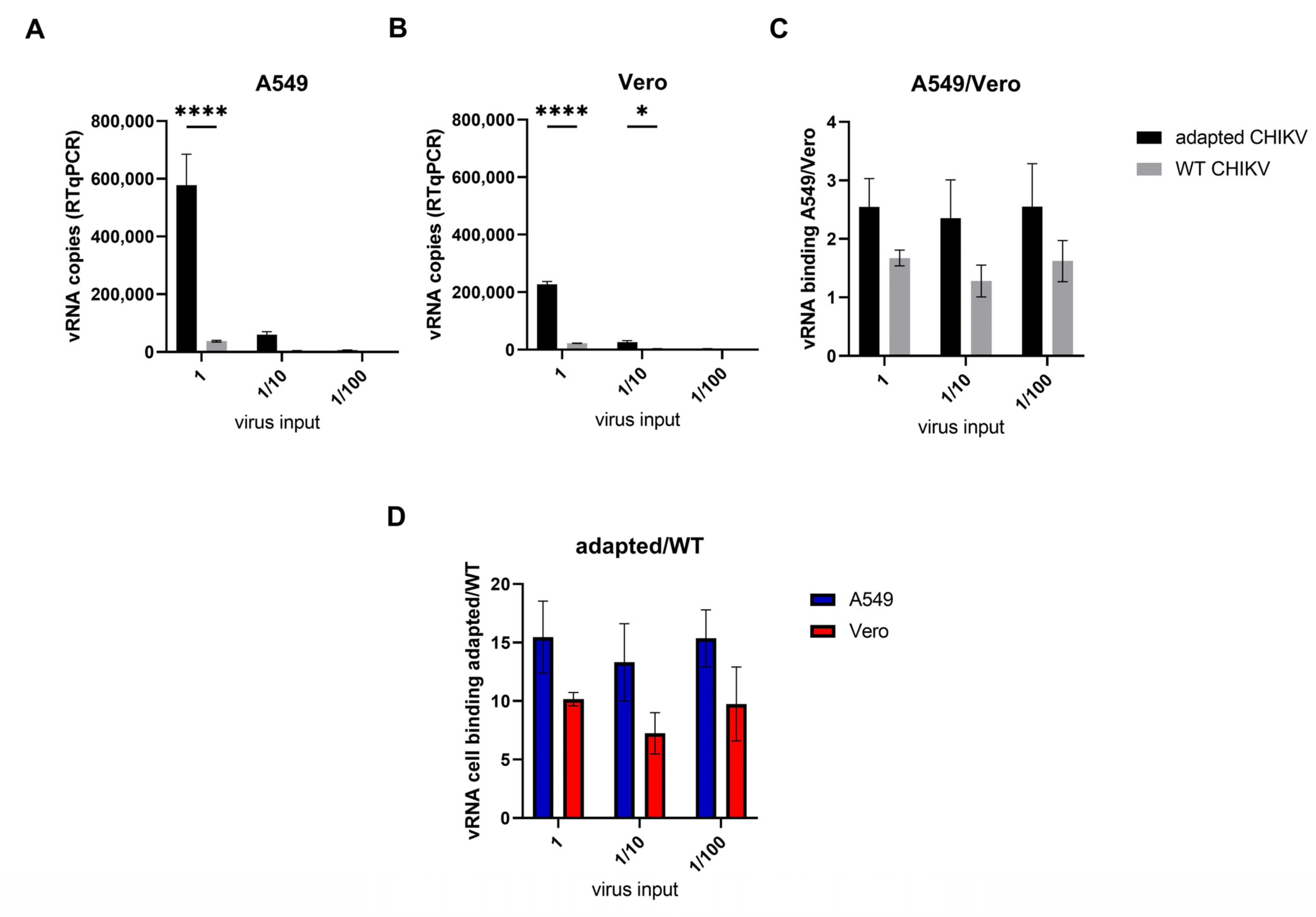 Viruses 14 00282 g005