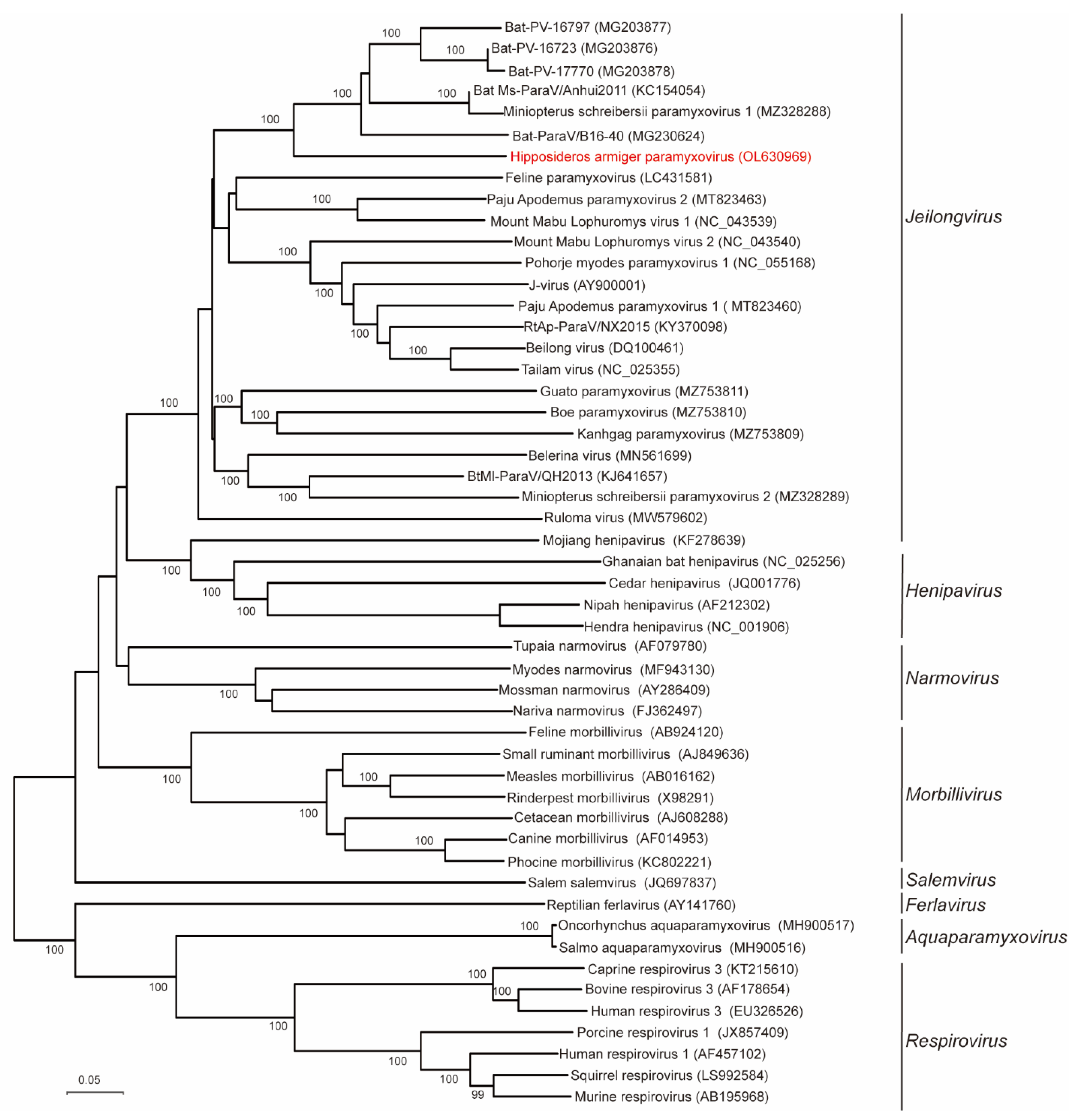 Viruses 14 00288 g003