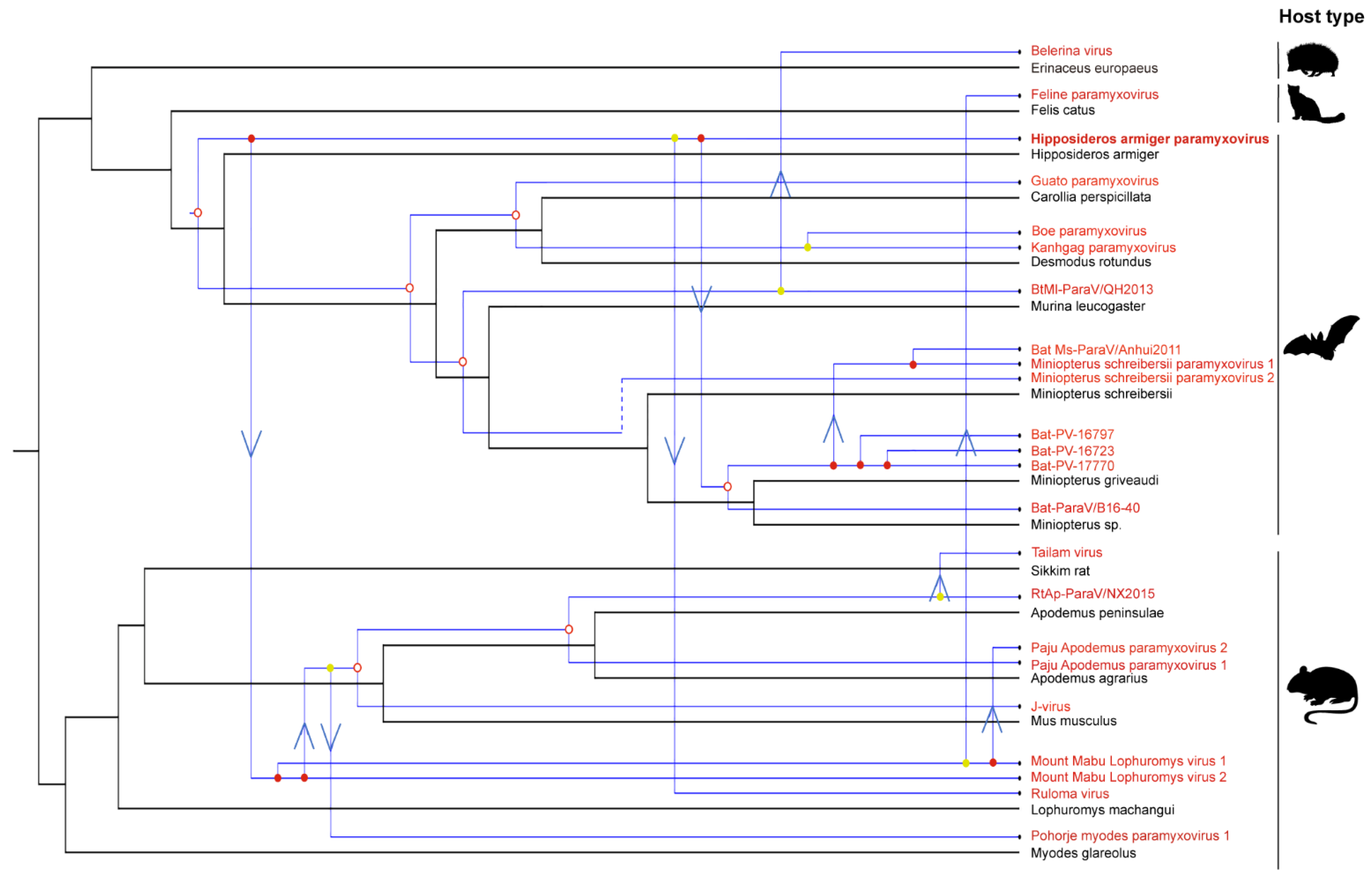 Viruses 14 00288 g006