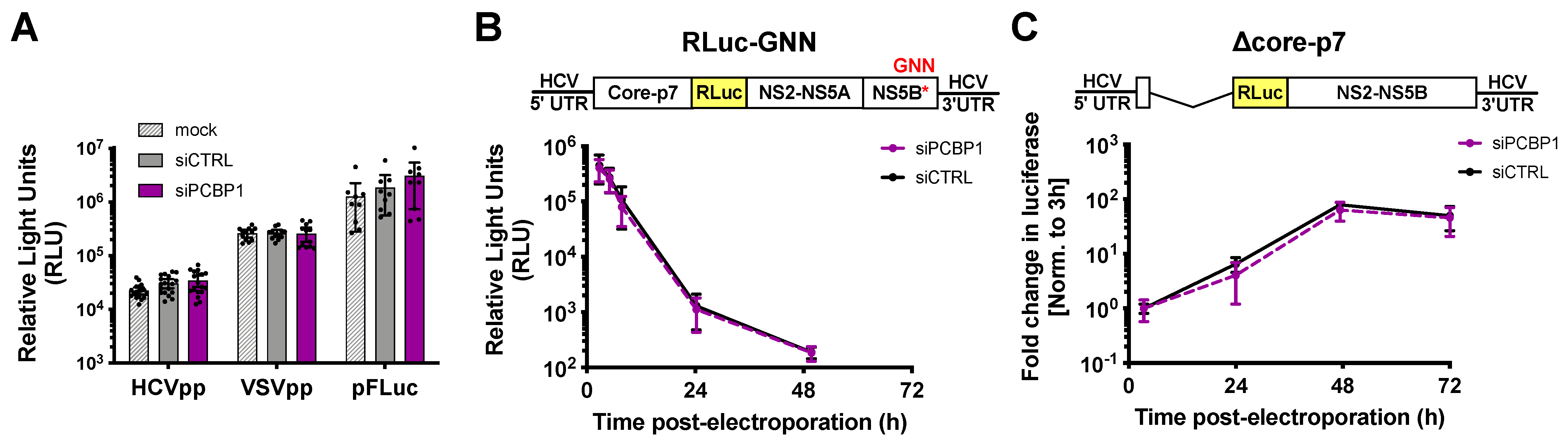 Viruses 14 00291 g002