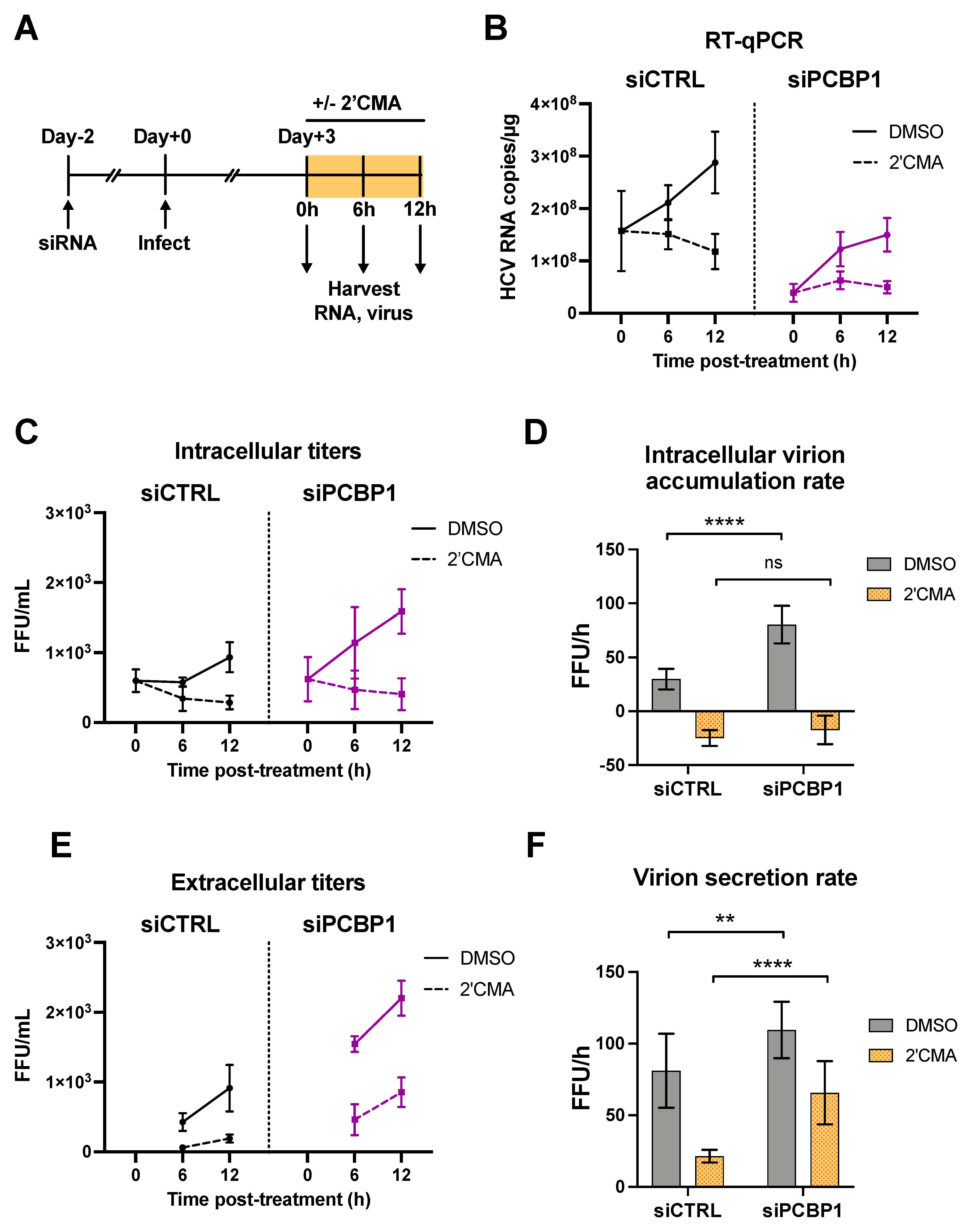 Viruses 14 00291 g003