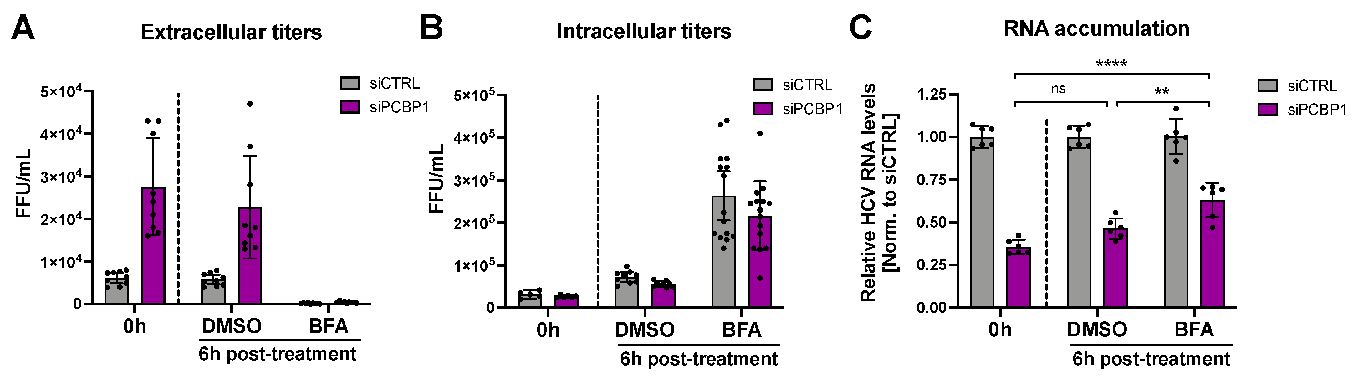 Viruses 14 00291 g004