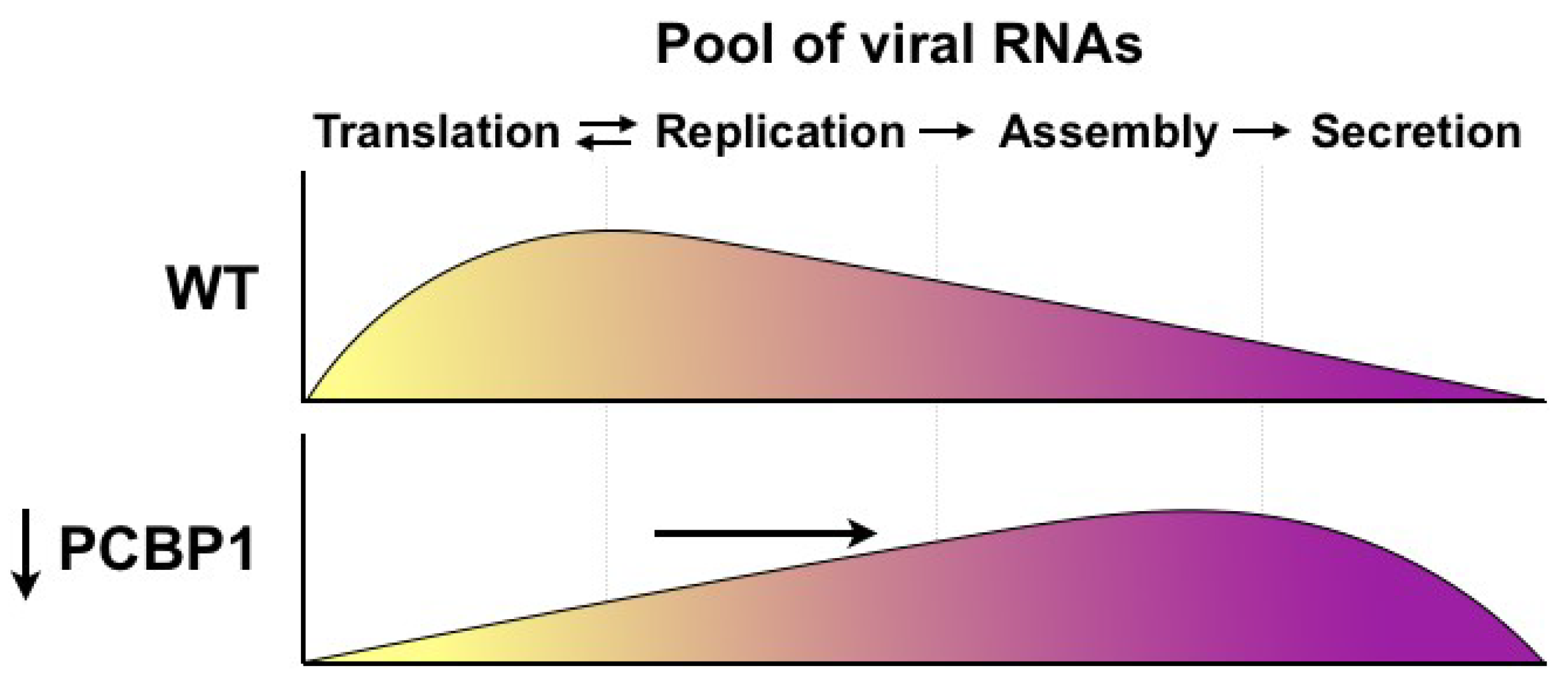 Viruses 14 00291 g005