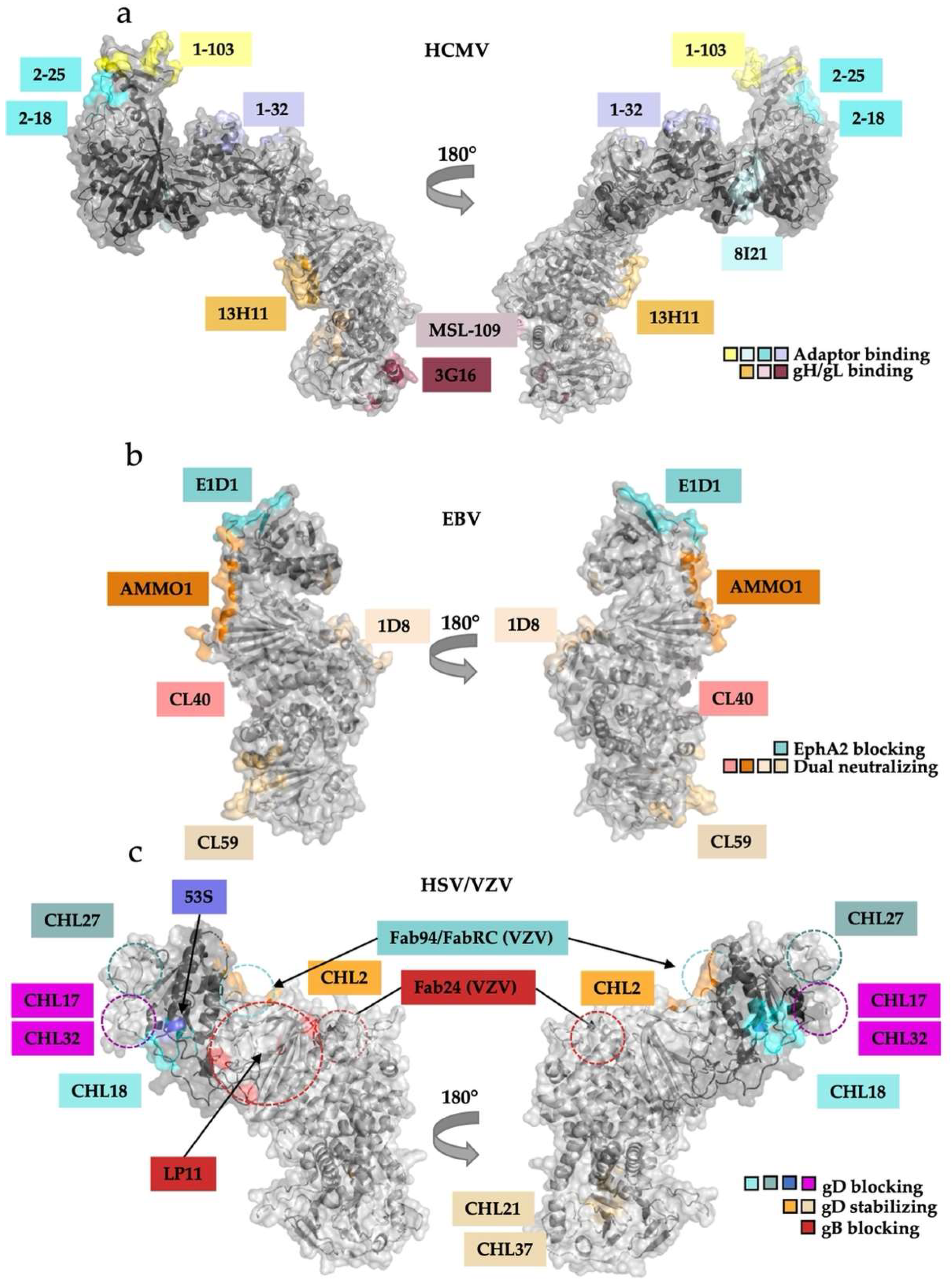 Viruses 14 00296 g005