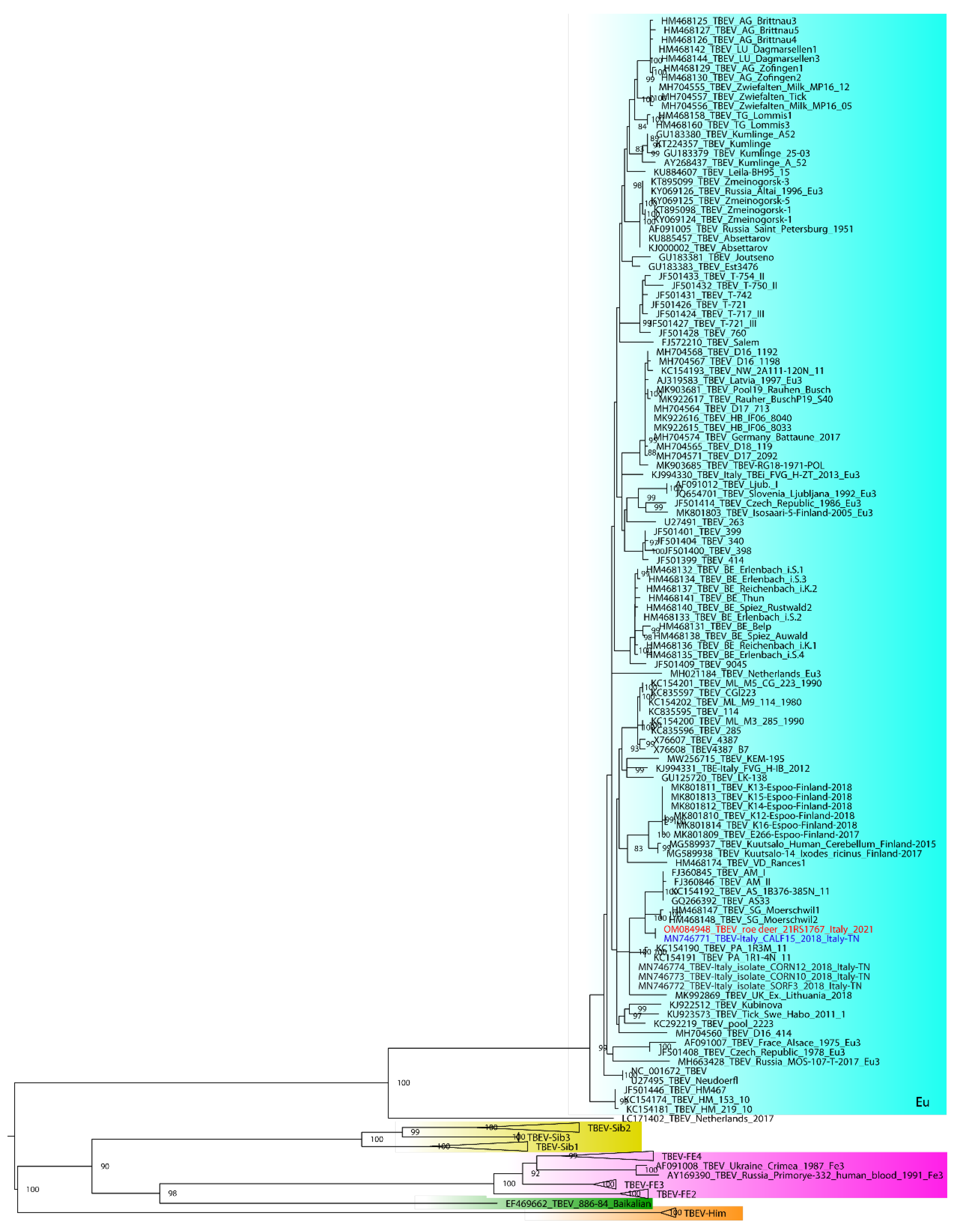 Viruses 14 00300 g001