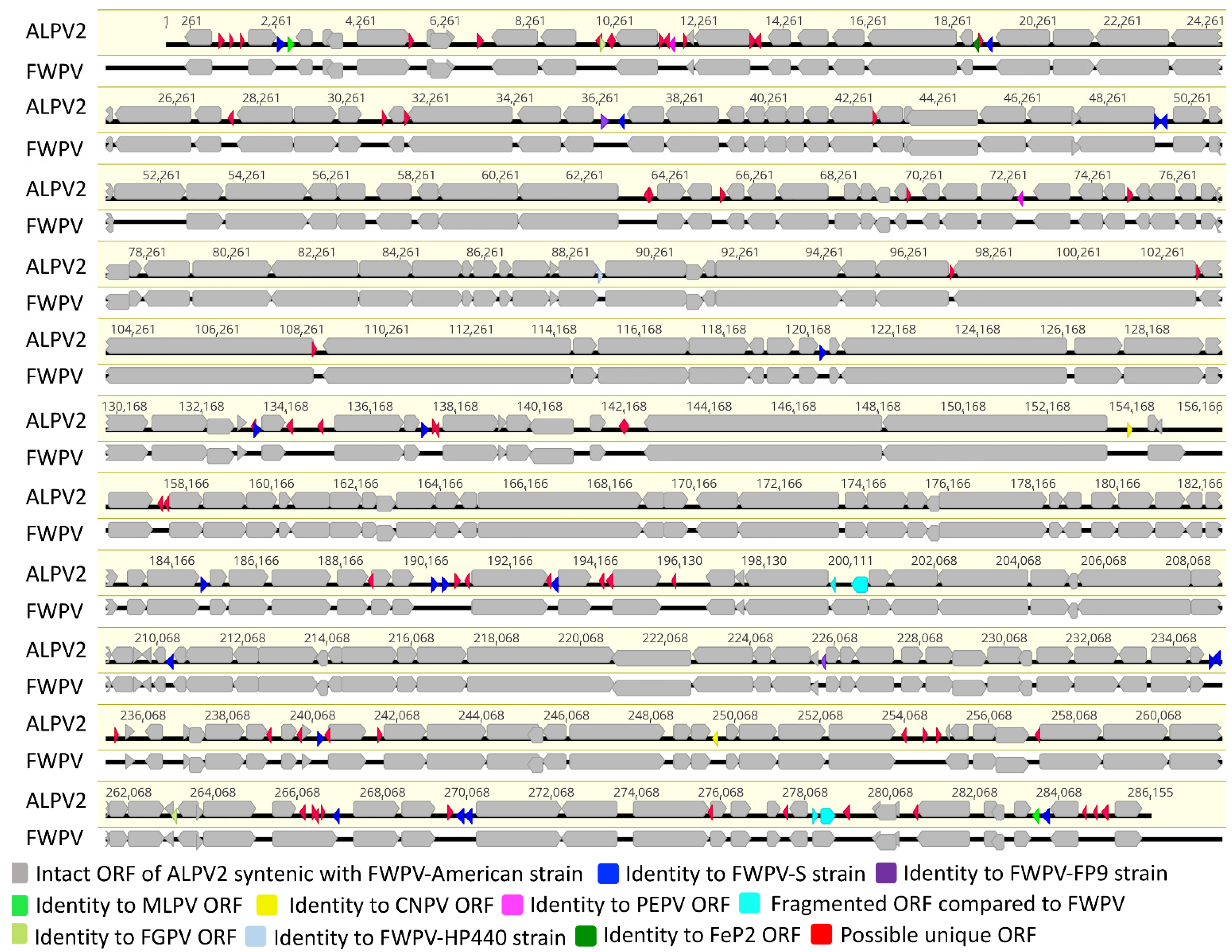Viruses 14 00302 g001 Viruses 14 00302 g001