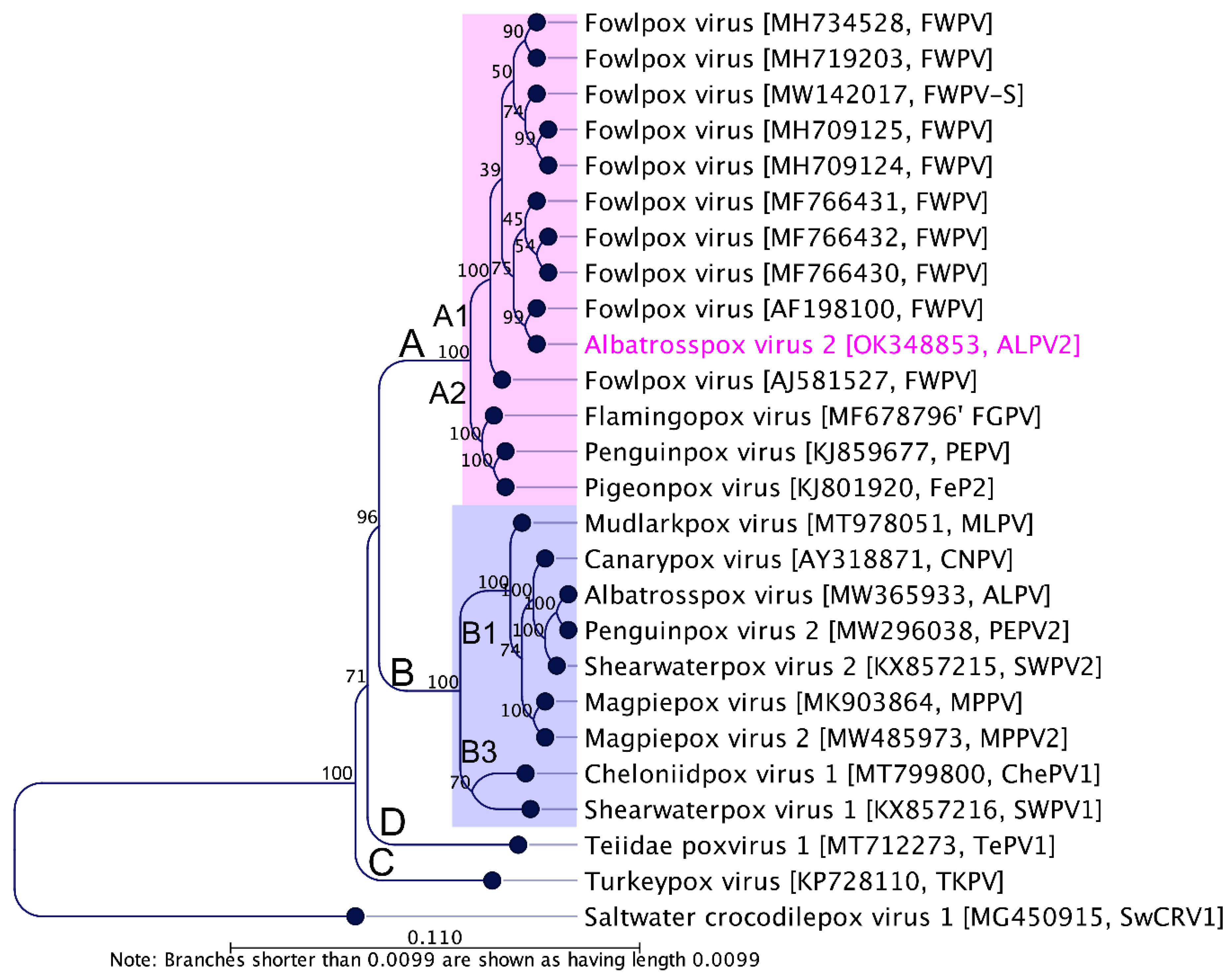 Viruses 14 00302 g003 Viruses 14 00302 g003