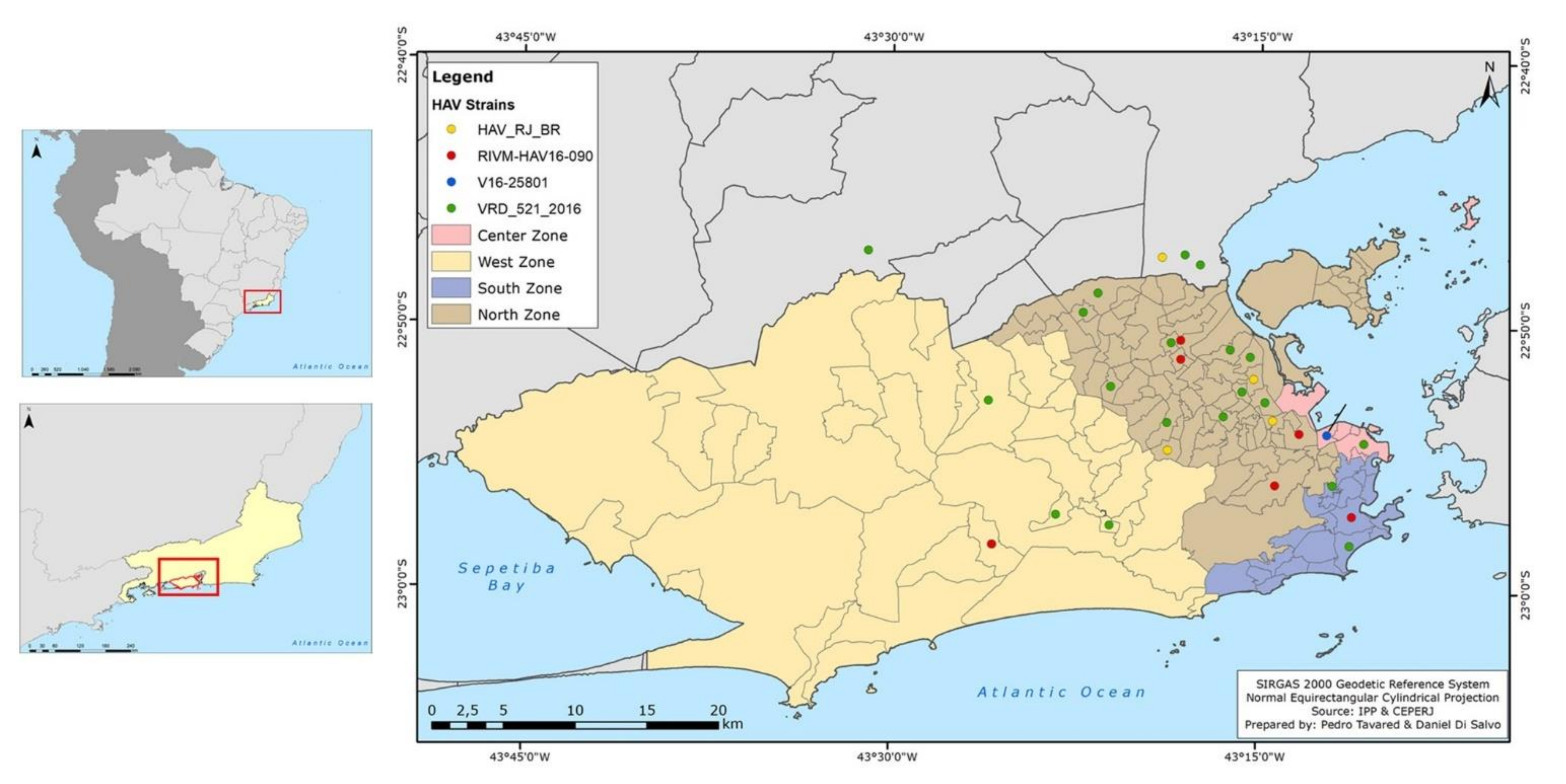 Viruses 14 00303 g005 Viruses 14 00303 g005