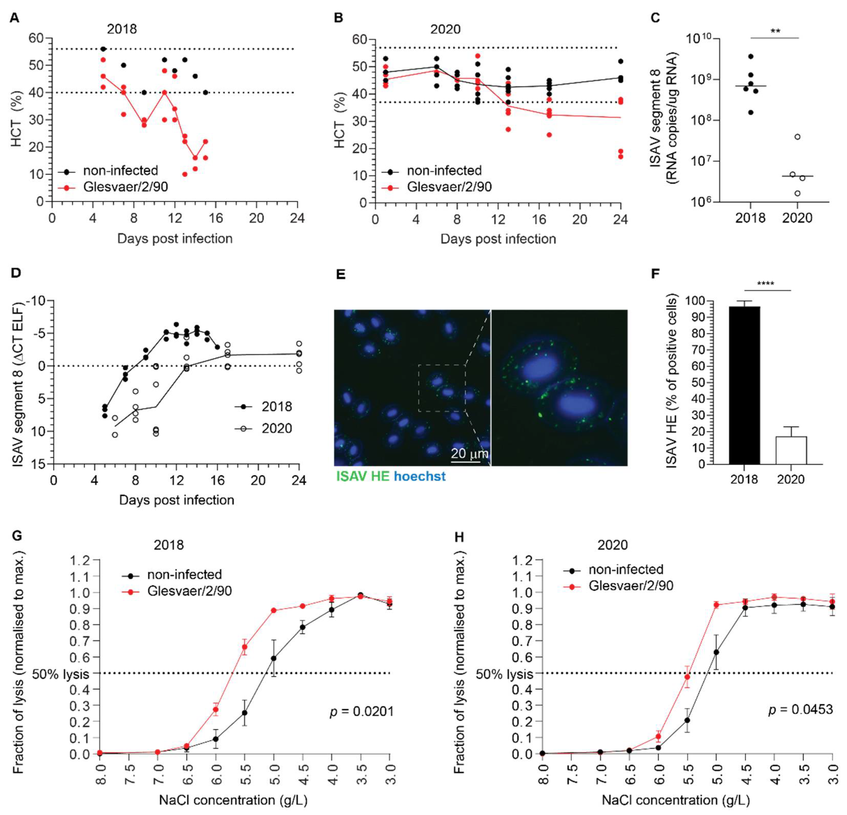 Viruses 14 00310 g003