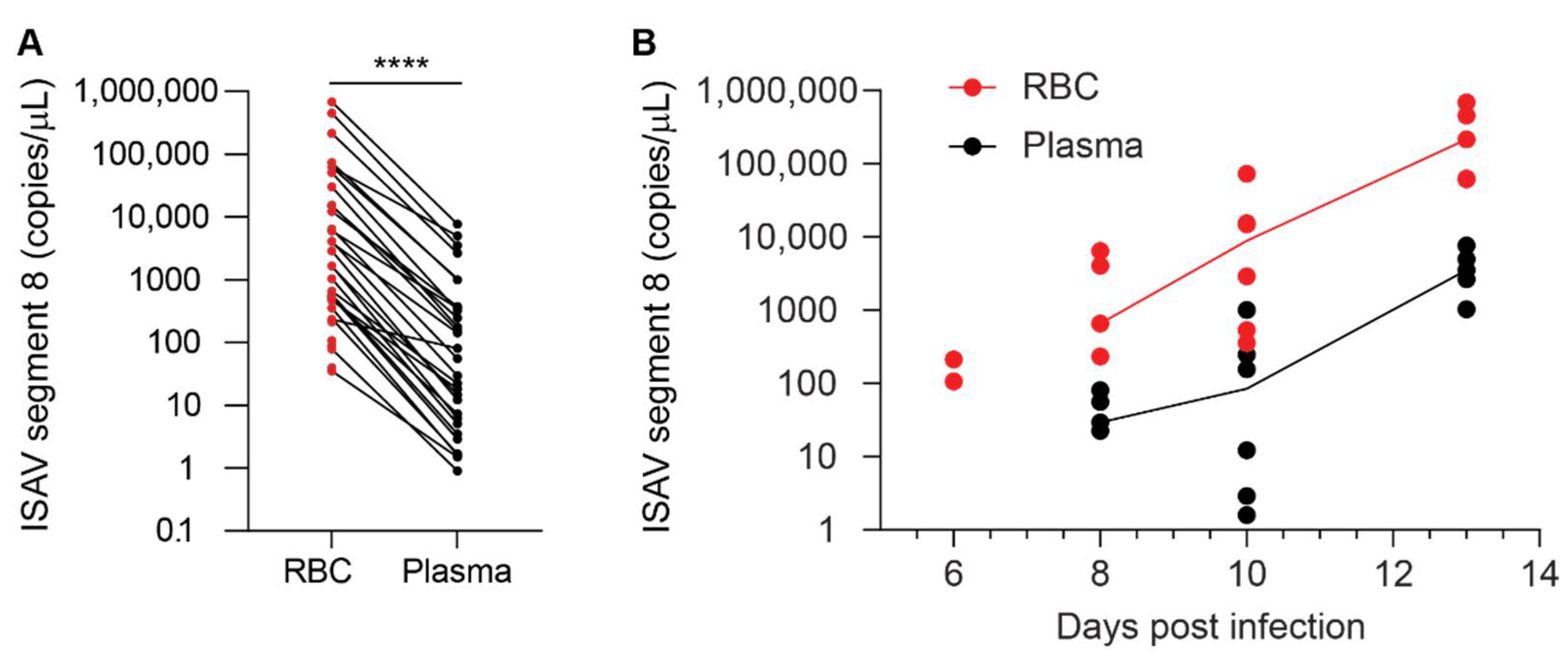 Viruses 14 00310 g004