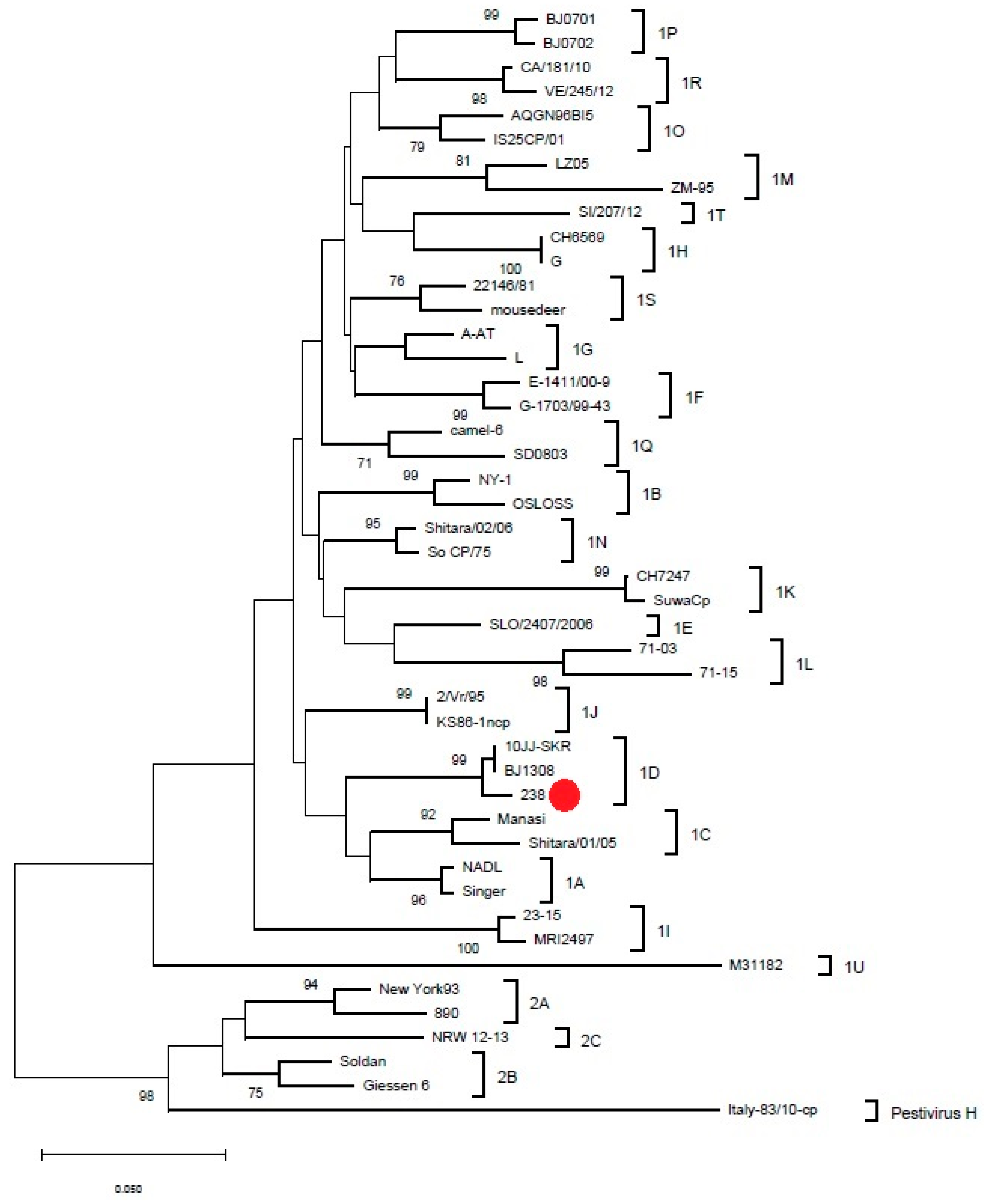 Viruses 14 00311 g001