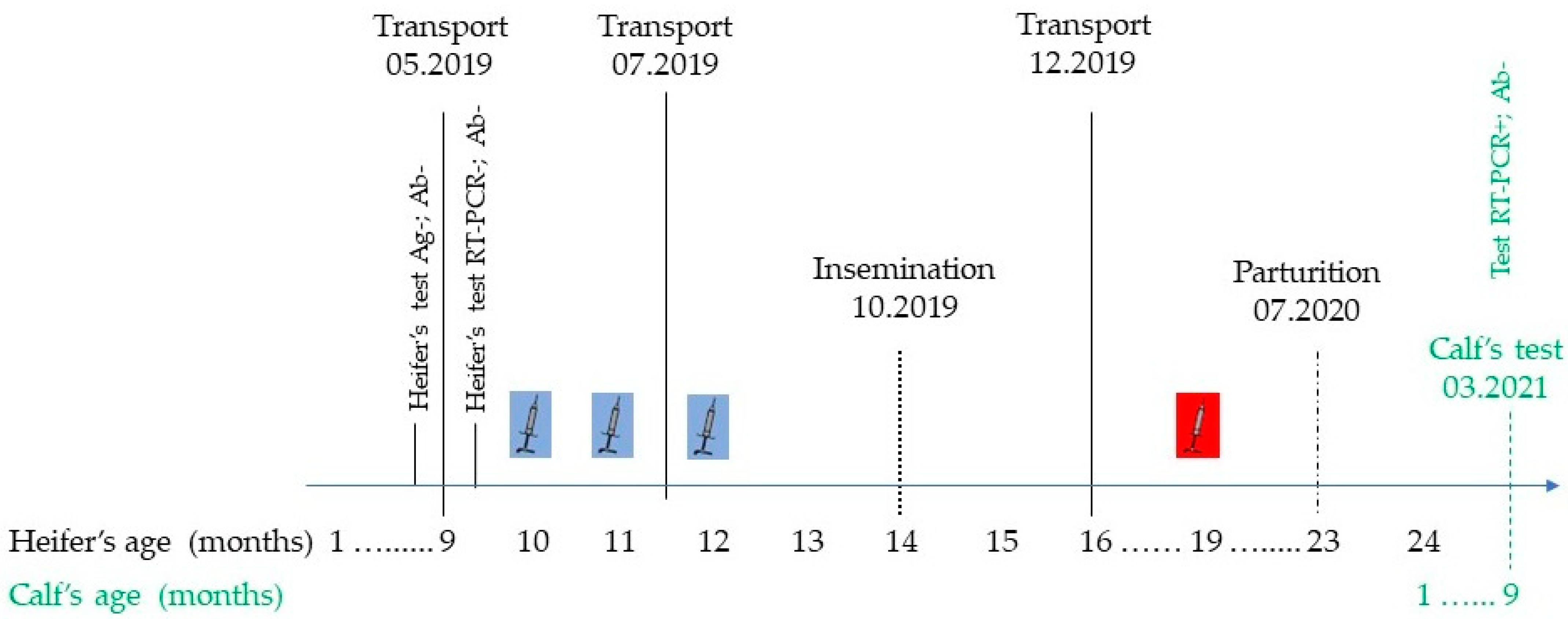 Viruses 14 00311 g002