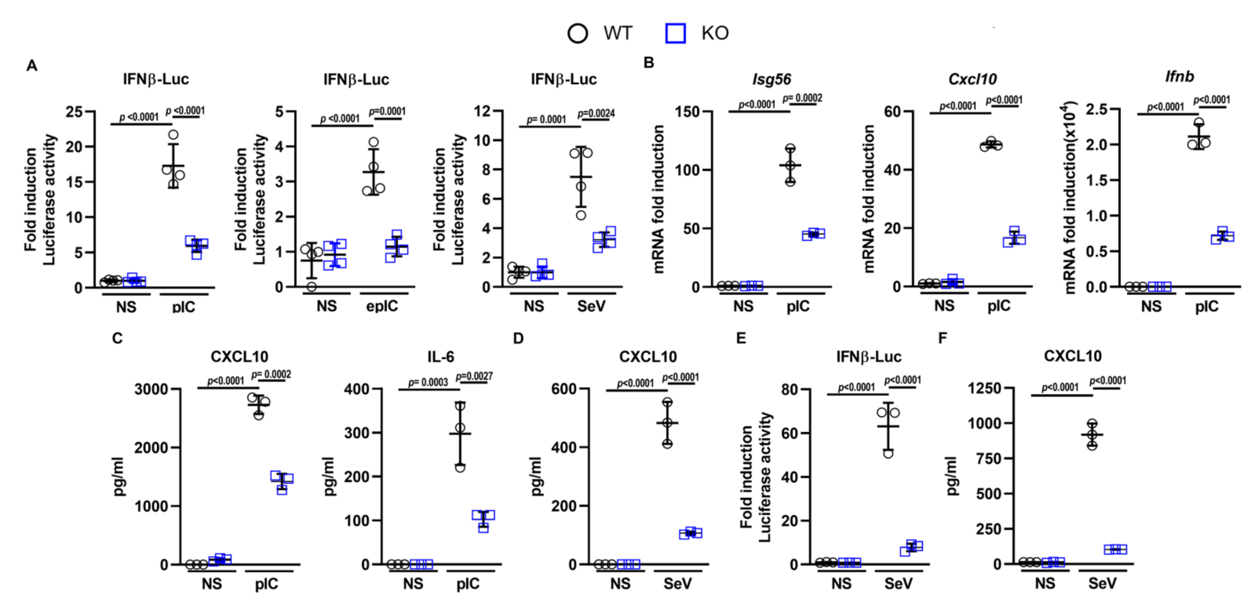 Viruses 14 00316 g001