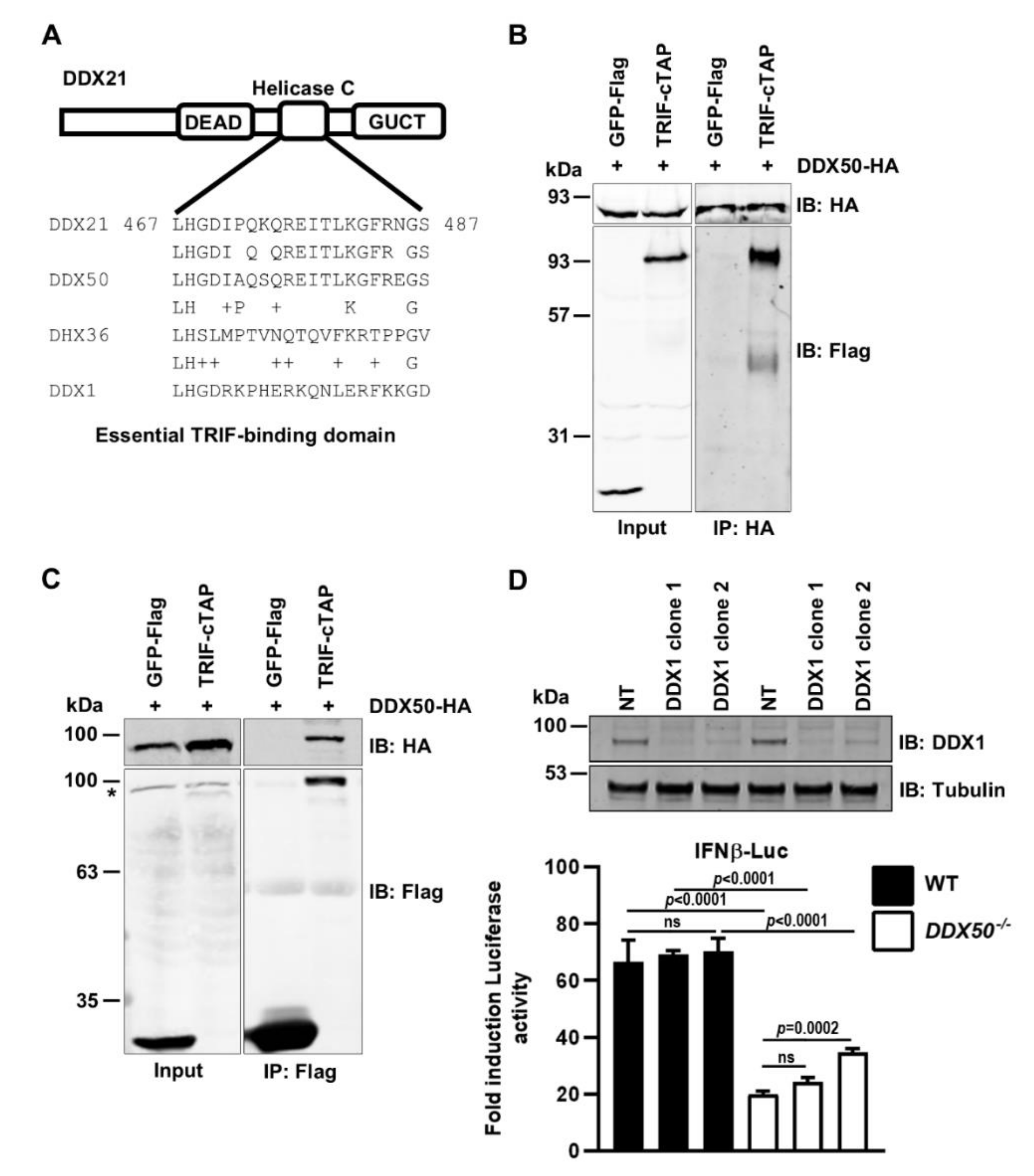Viruses 14 00316 g005