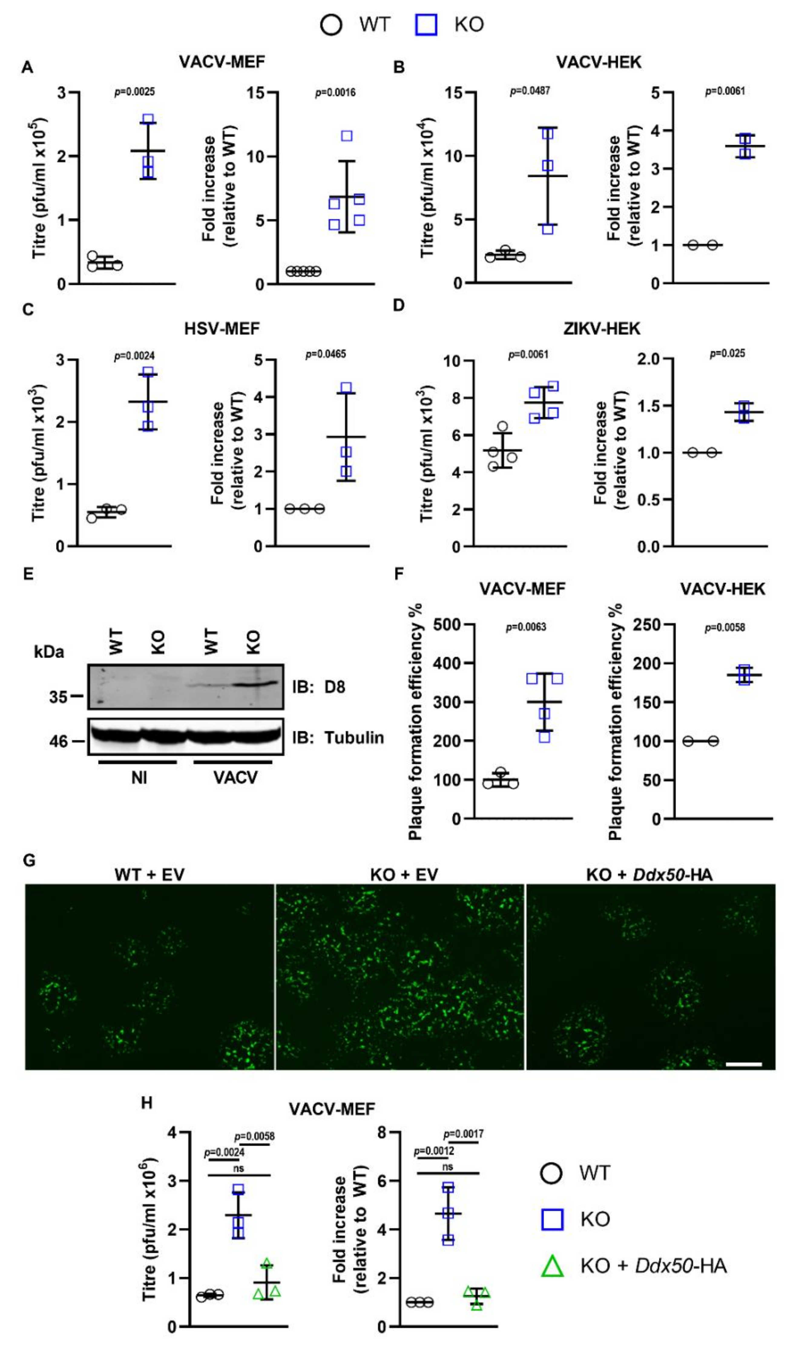 Viruses 14 00316 g007