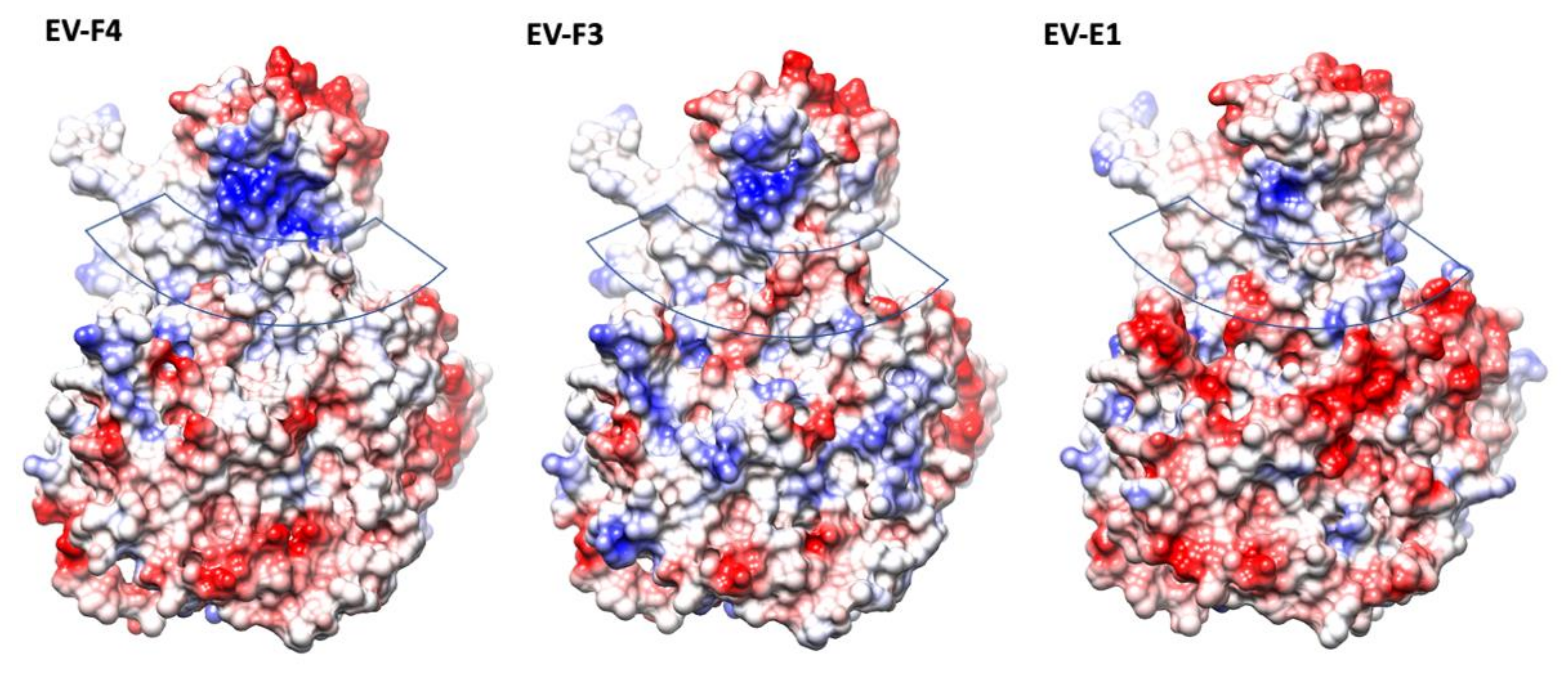 Viruses 14 00318 g003