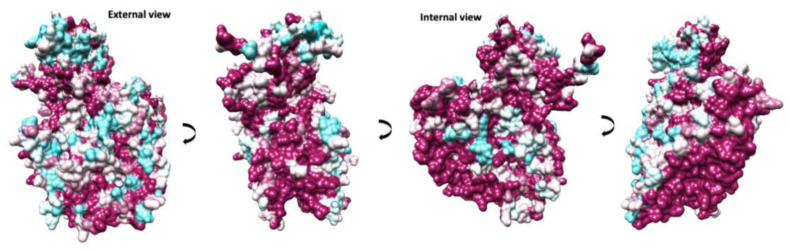 Viruses 14 00318 g004
