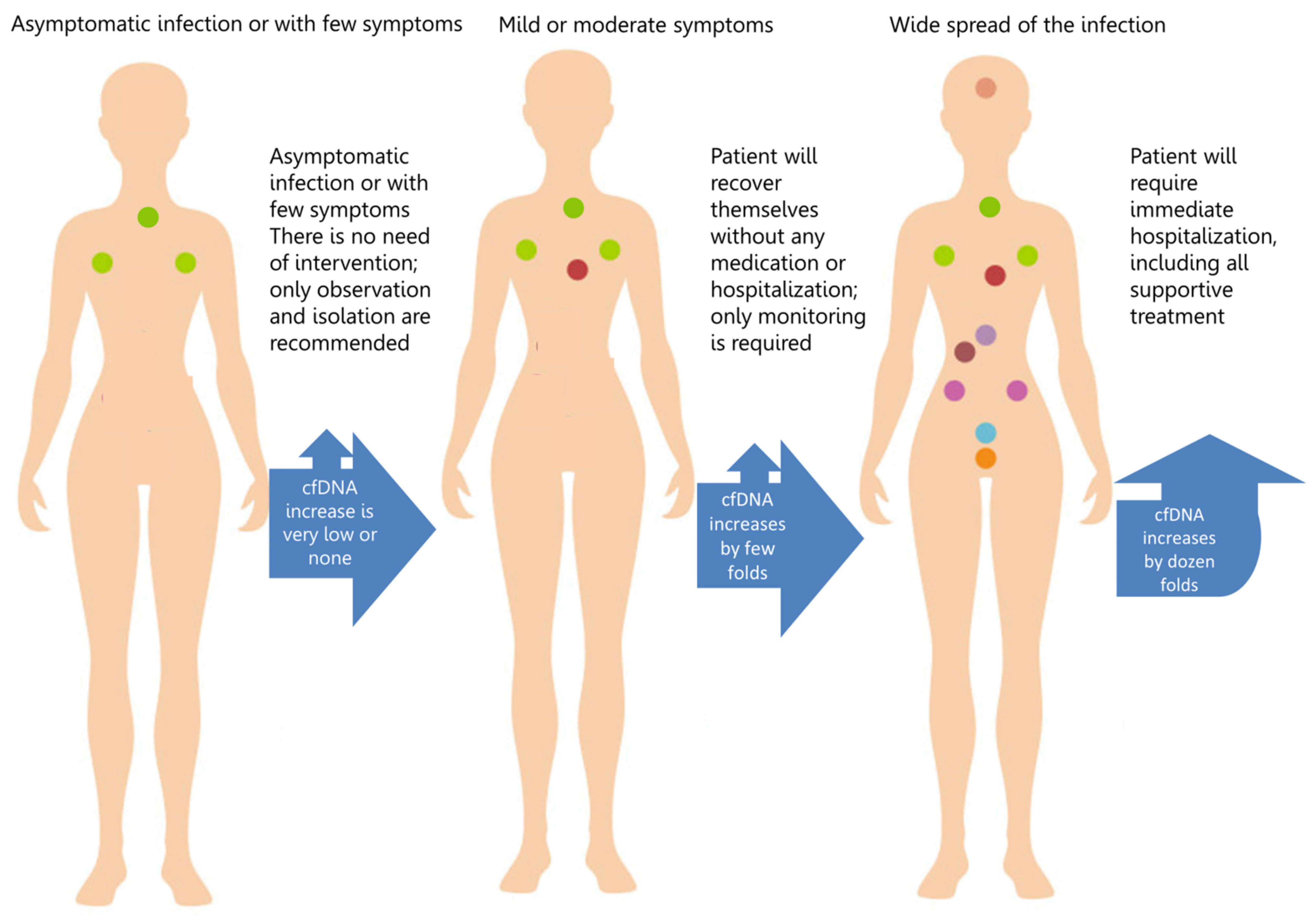 Viruses 14 00321 g002