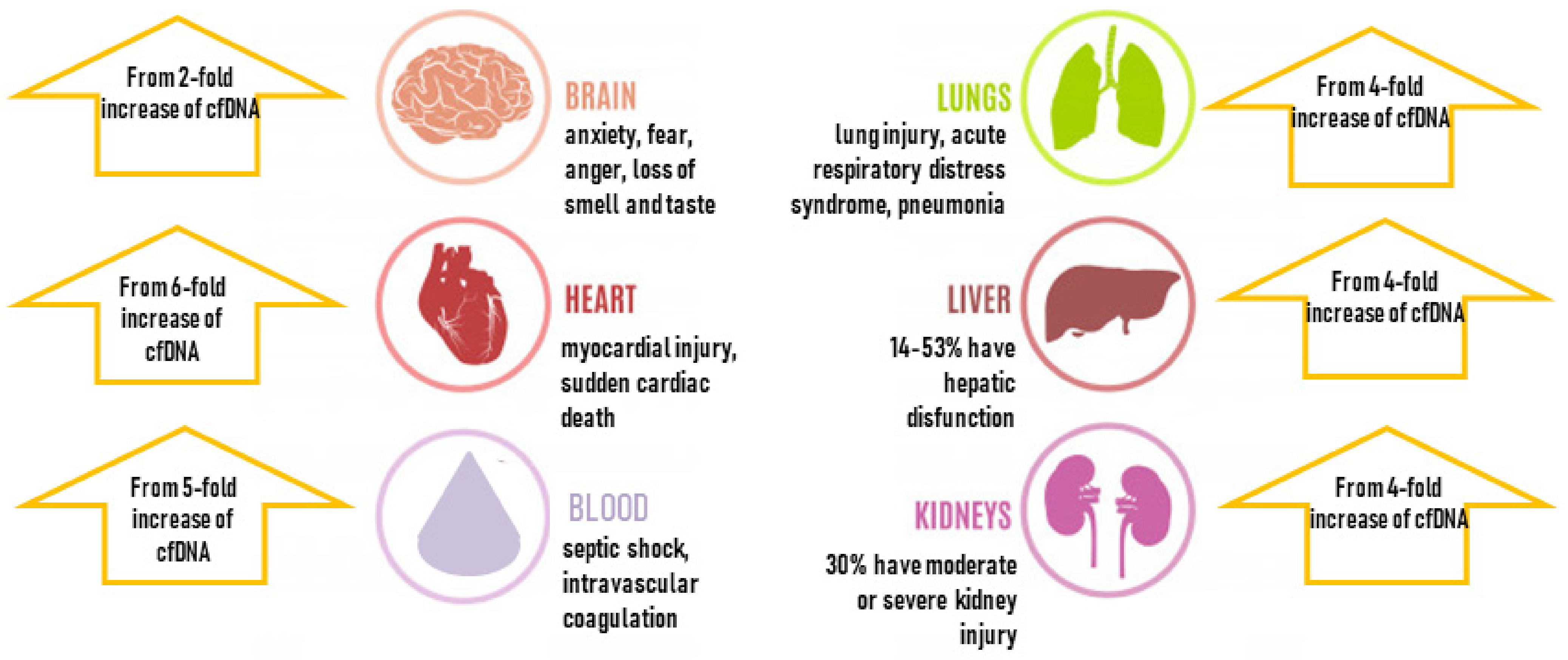 Viruses 14 00321 g003