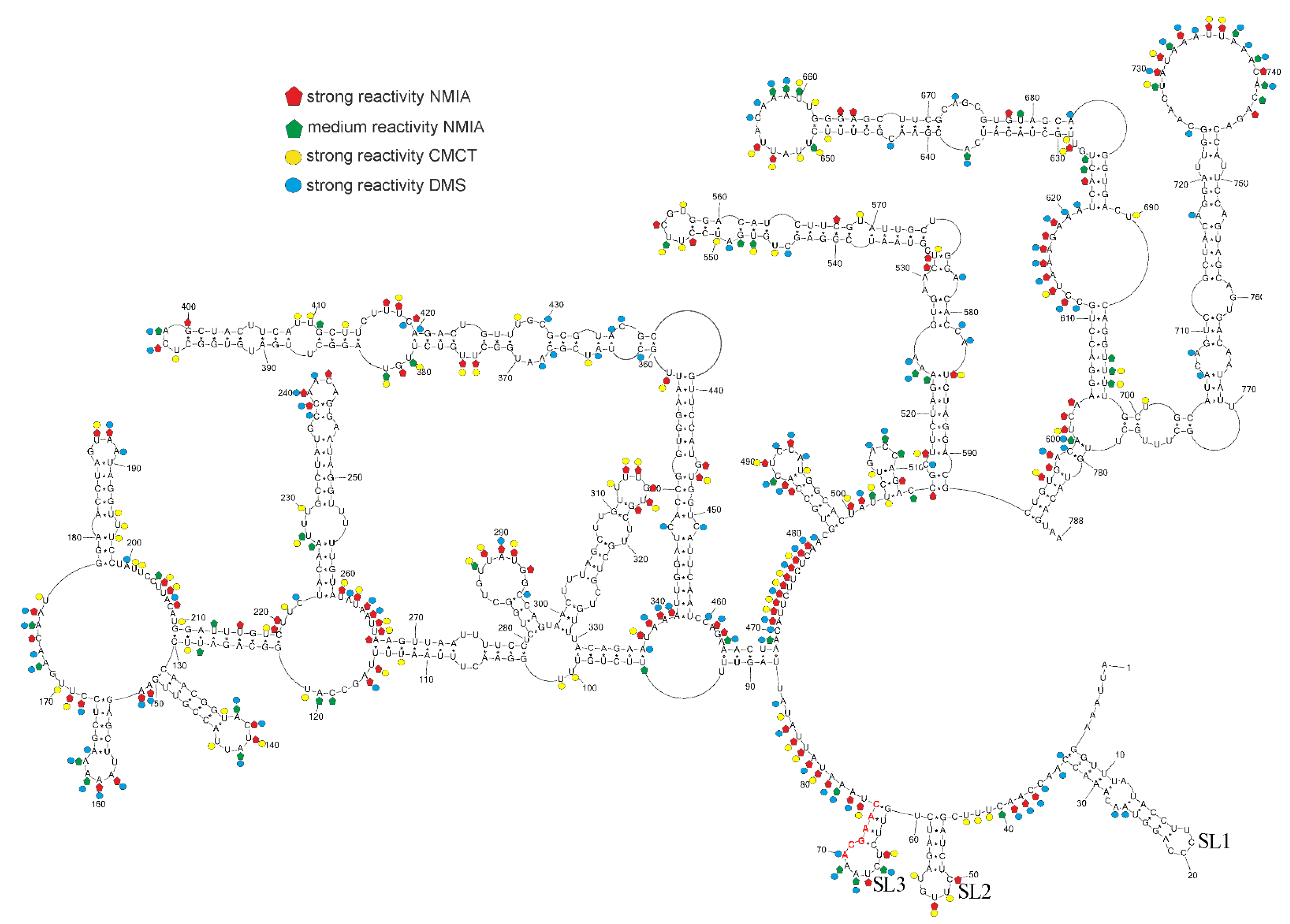 Viruses 14 00322 g002